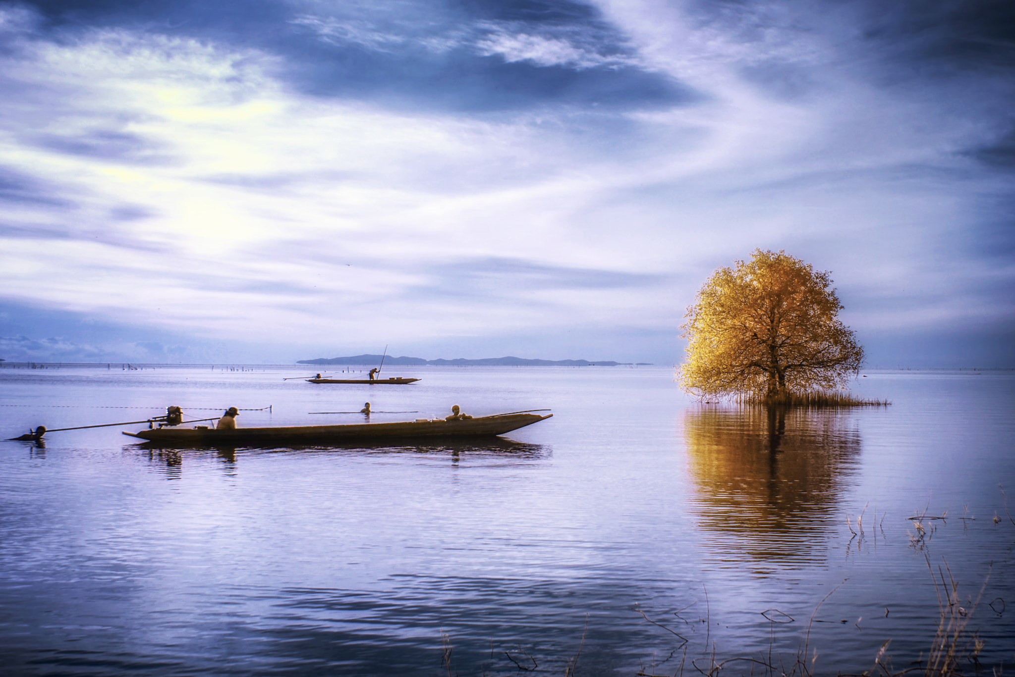 Sony a7R + Sony FE 28-70mm F3.5-5.6 OSS sample photo. Tranquility tree photography