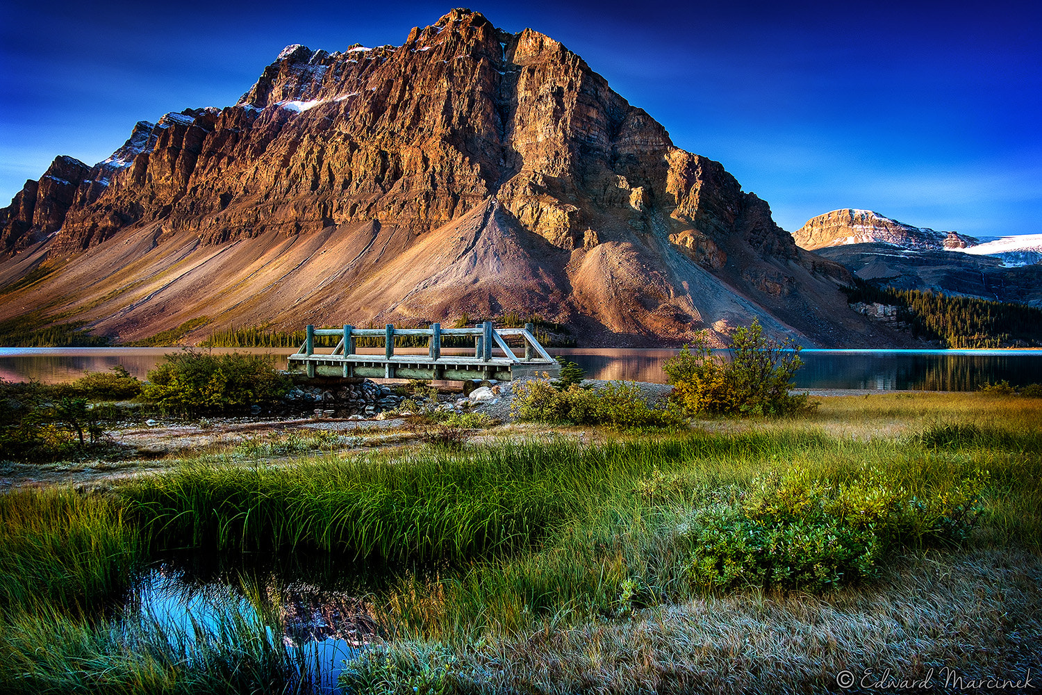 Fujifilm X-Pro1 + Fujifilm XF 18mm F2 R sample photo. Colossal mount crowfoot photography