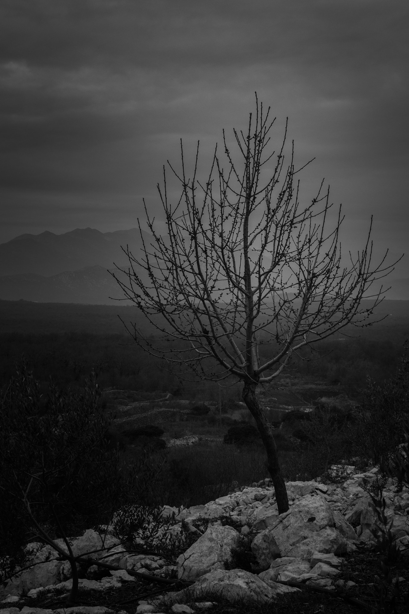 Canon EF 35-80mm f/4-5.6 sample photo. Dark hour photography