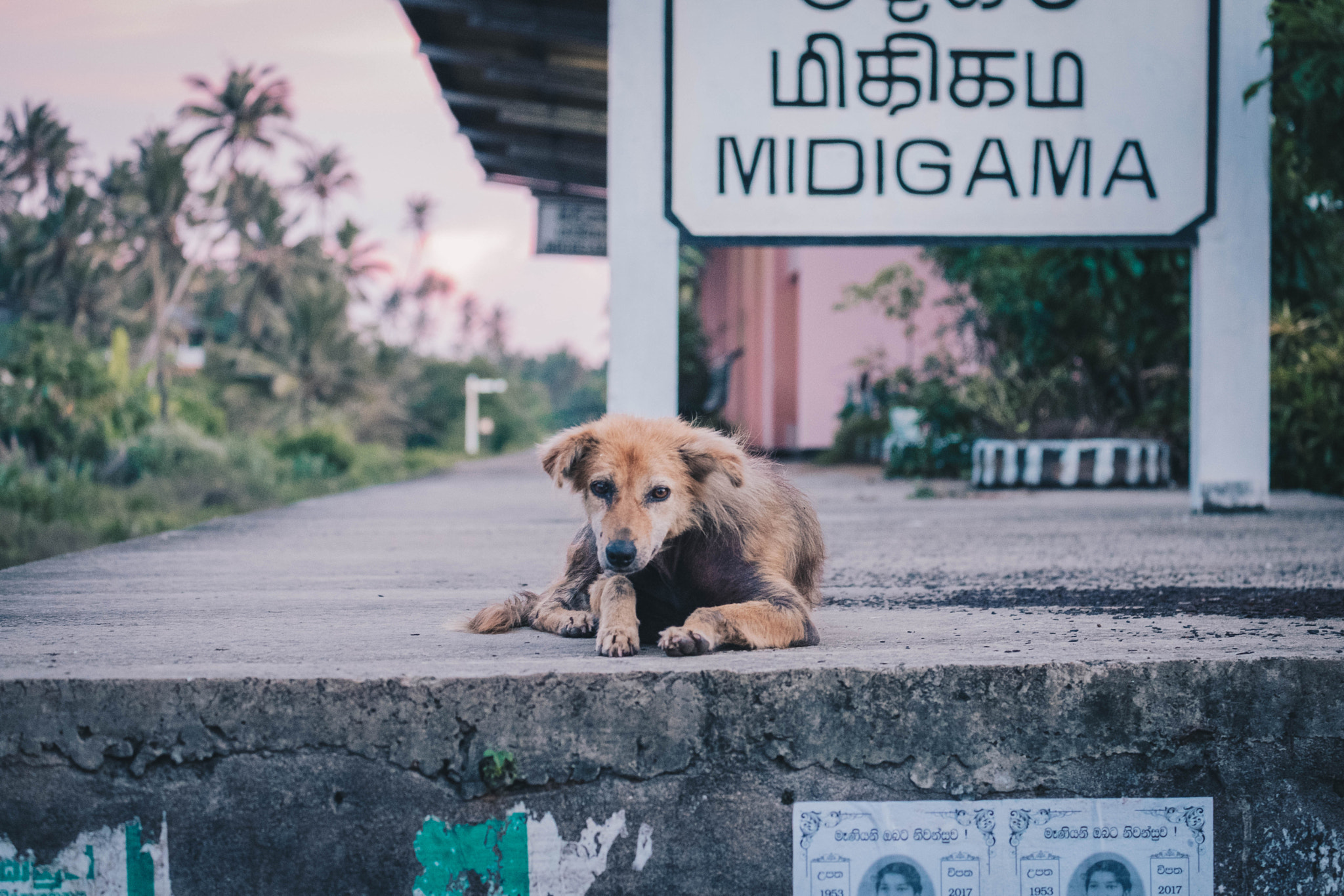 Fujifilm X-Pro2 + Fujifilm XF 55-200mm F3.5-4.8 R LM OIS sample photo. Slxp photography