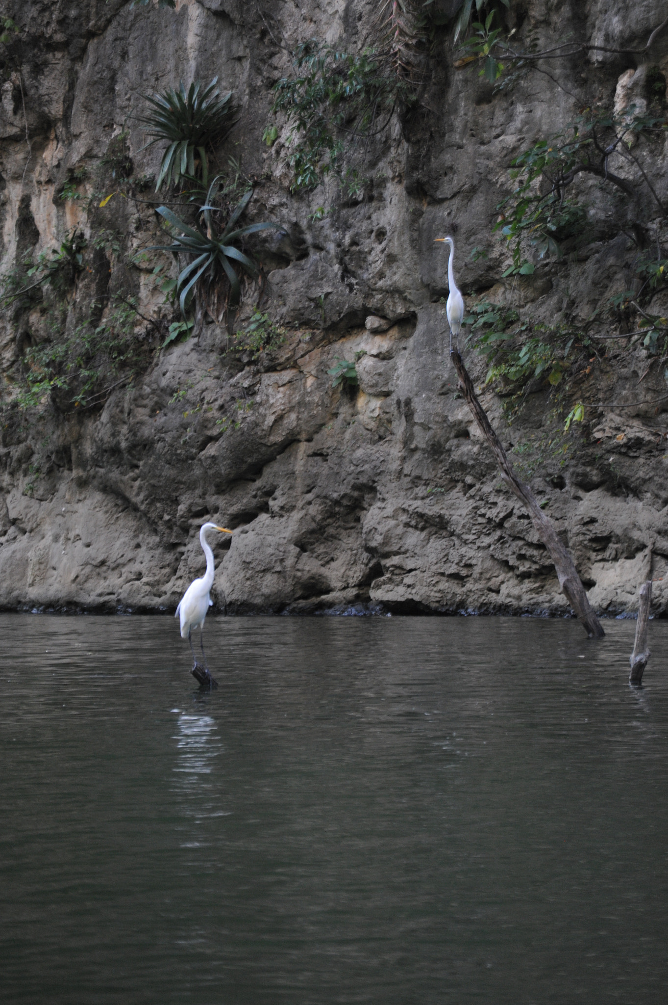 Nikon D700 sample photo. Relax... photography