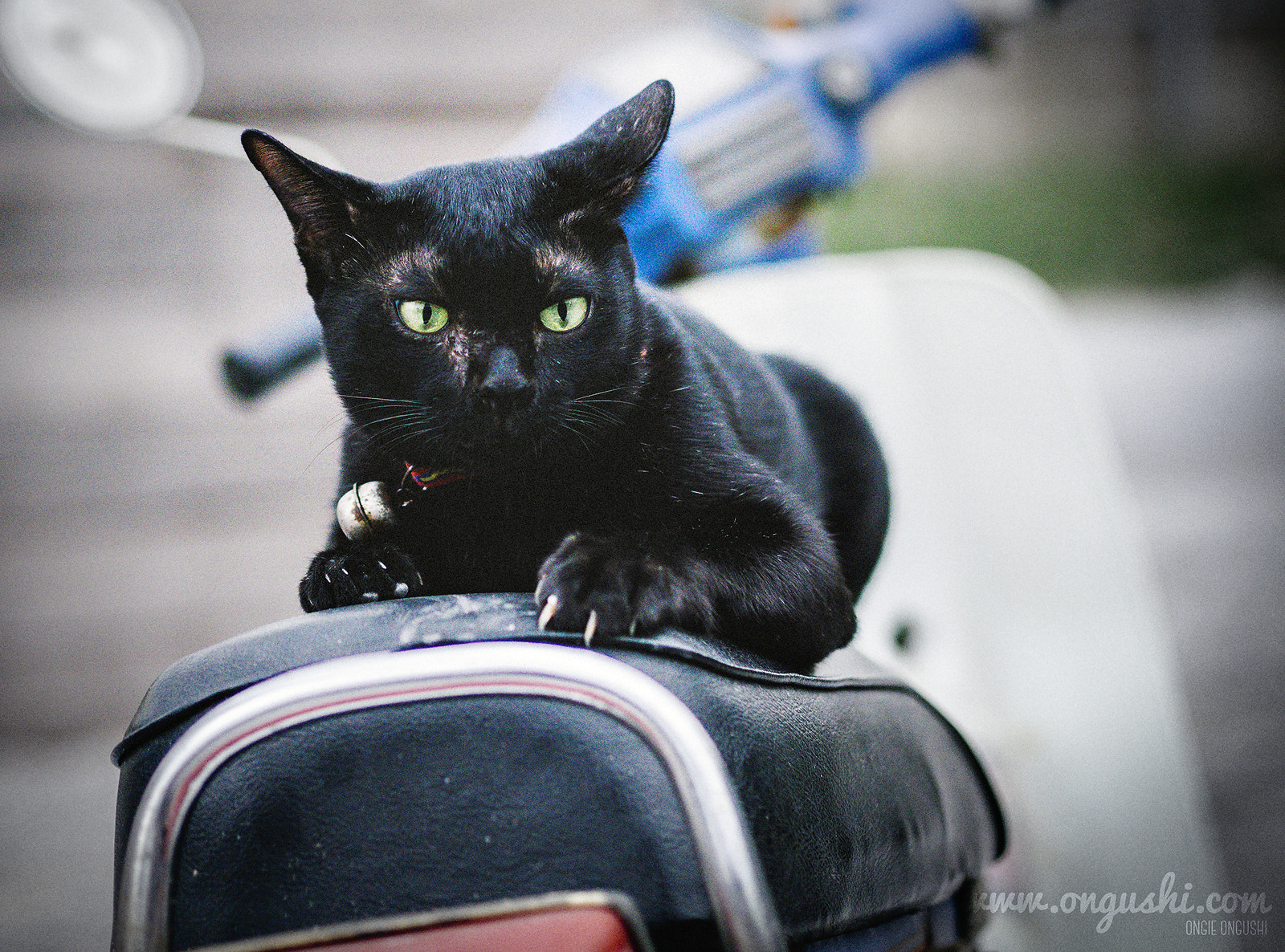 Olympus OM-D E-M10 II + Olympus M.Zuiko Digital 45mm F1.8 sample photo. Dark rider photography
