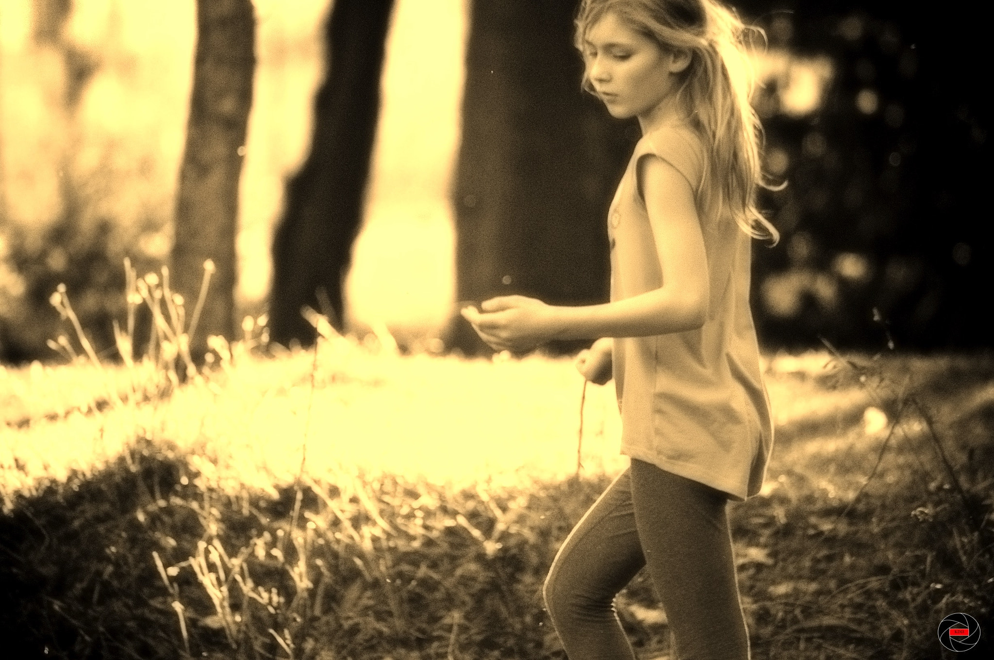 Sony 75-300mm F4.5-5.6 sample photo. Dreamland photography