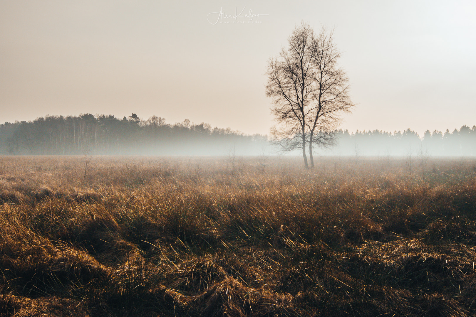 Nikon D500 sample photo. Foggy photography