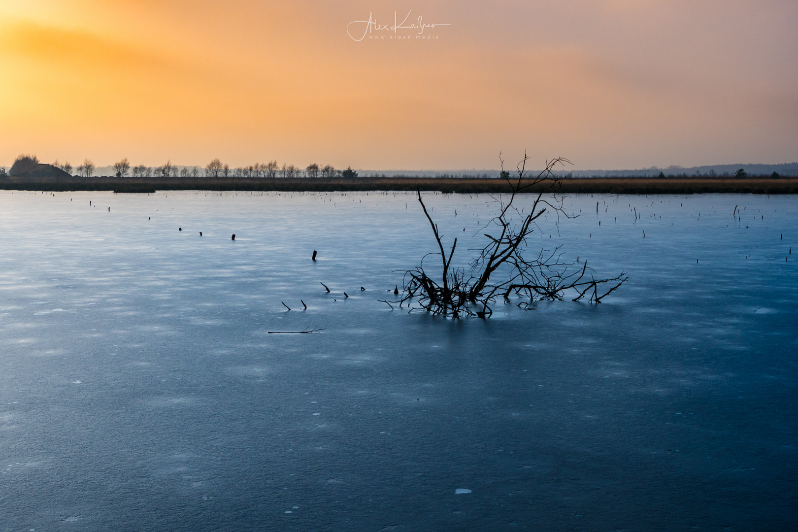 Nikon D500 sample photo. Frozen moor photography