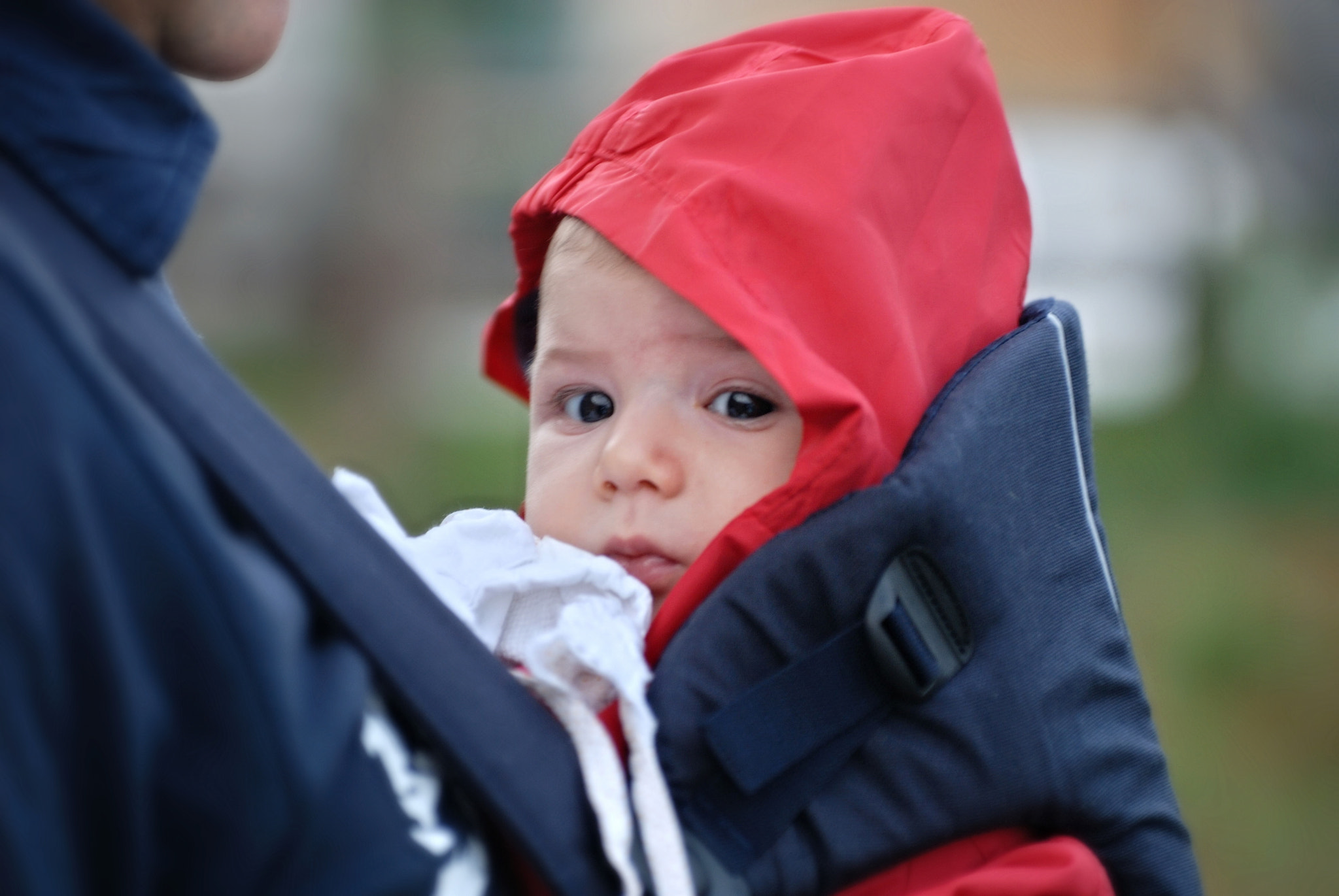 Nikon D200 sample photo. Francesco photography
