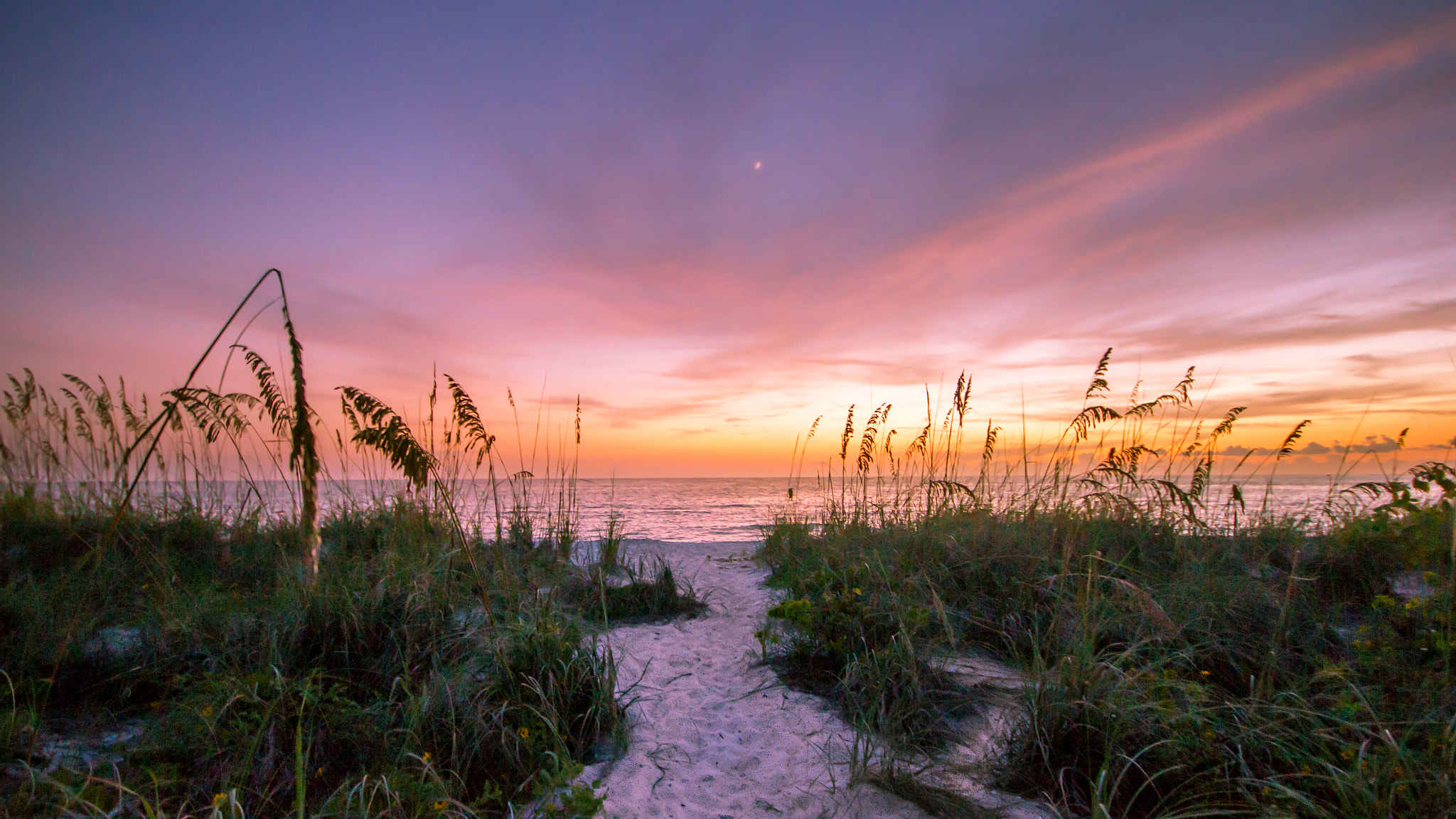 Sigma 10-20mm F4-5.6 EX DC HSM sample photo. Naples,florida photography