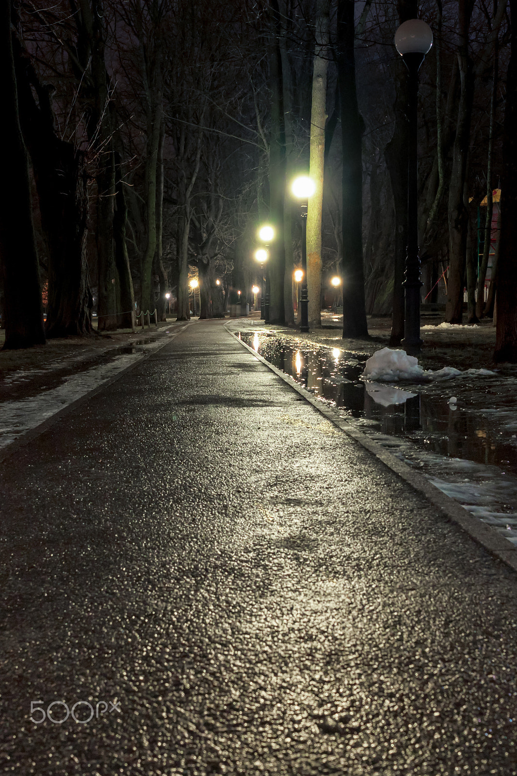 Canon EF-S 24mm F2.8 STM sample photo. Dark path in the park photography