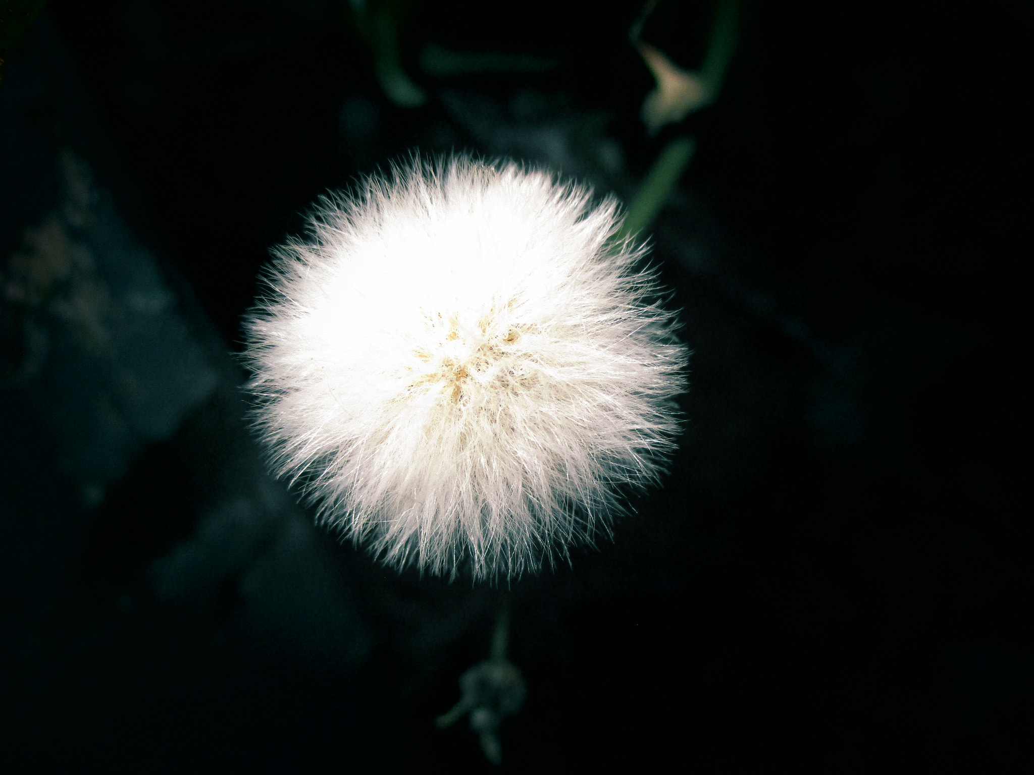 Canon PowerShot ELPH 180 (IXUS 175 / IXY 180) sample photo. Wild nights photography