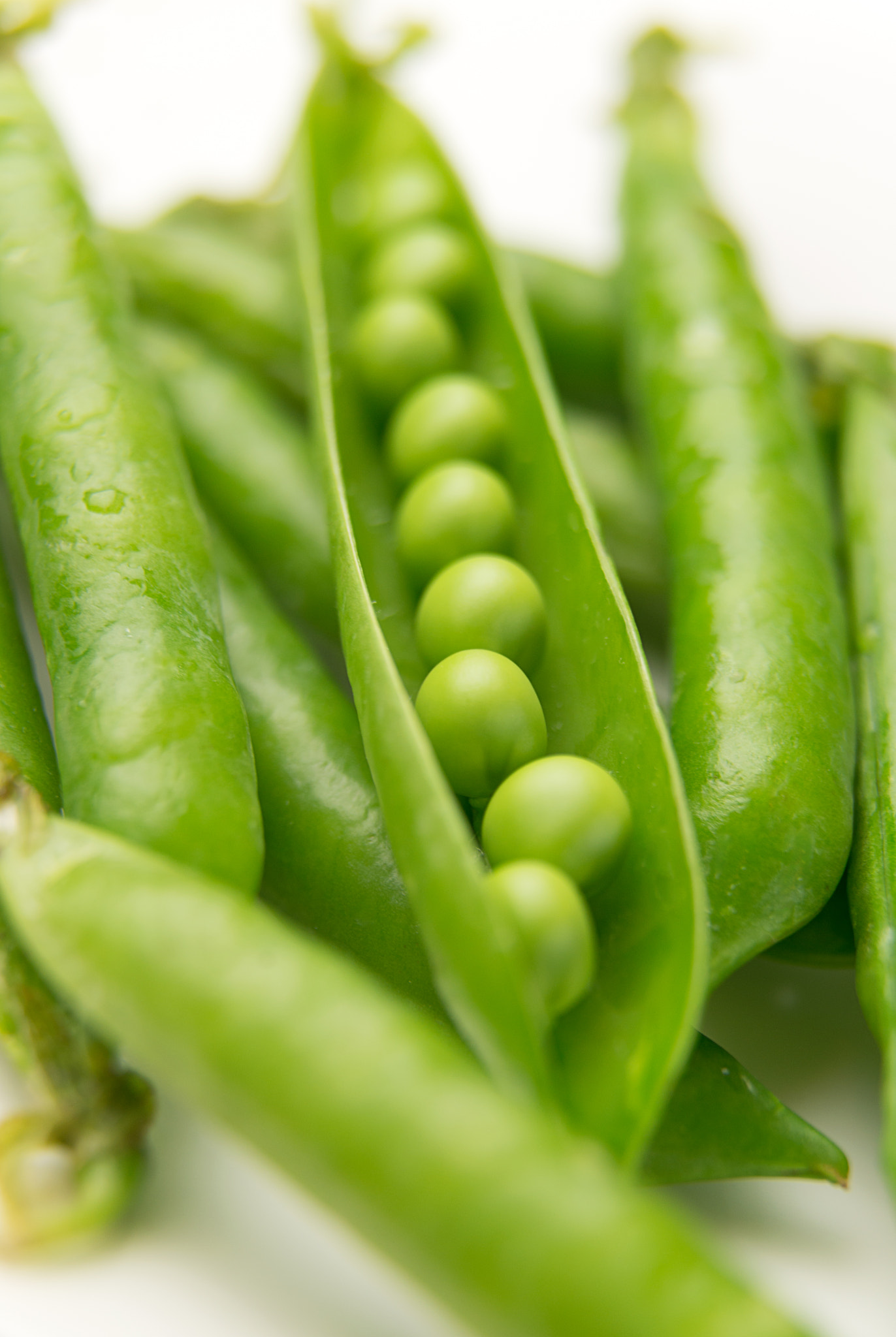 Nikon D800 sample photo. The pods of ripe beans and peas photography