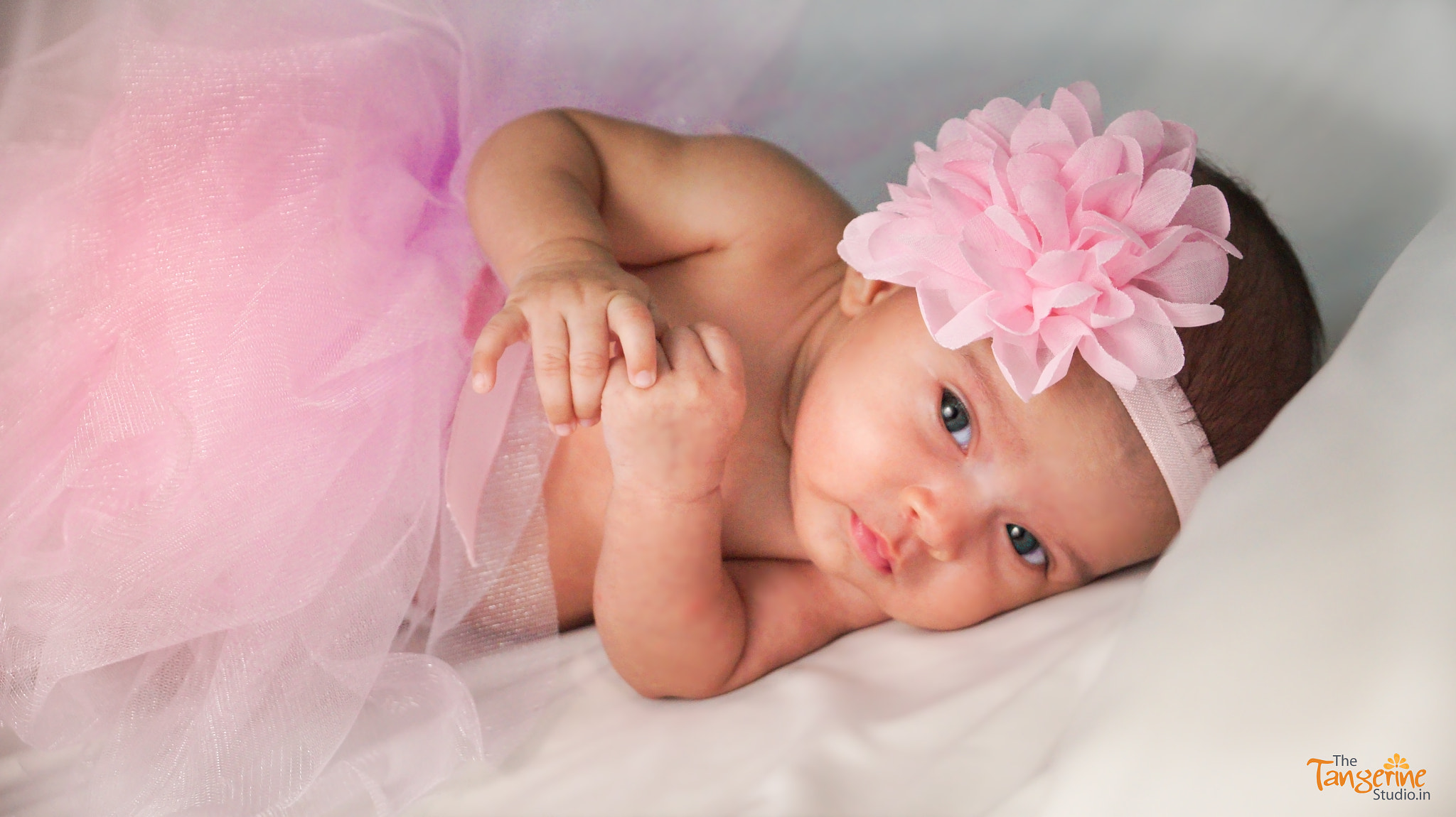 Sony DT 18-135mm F3.5-5.6 SAM sample photo. Pretty in pink photography