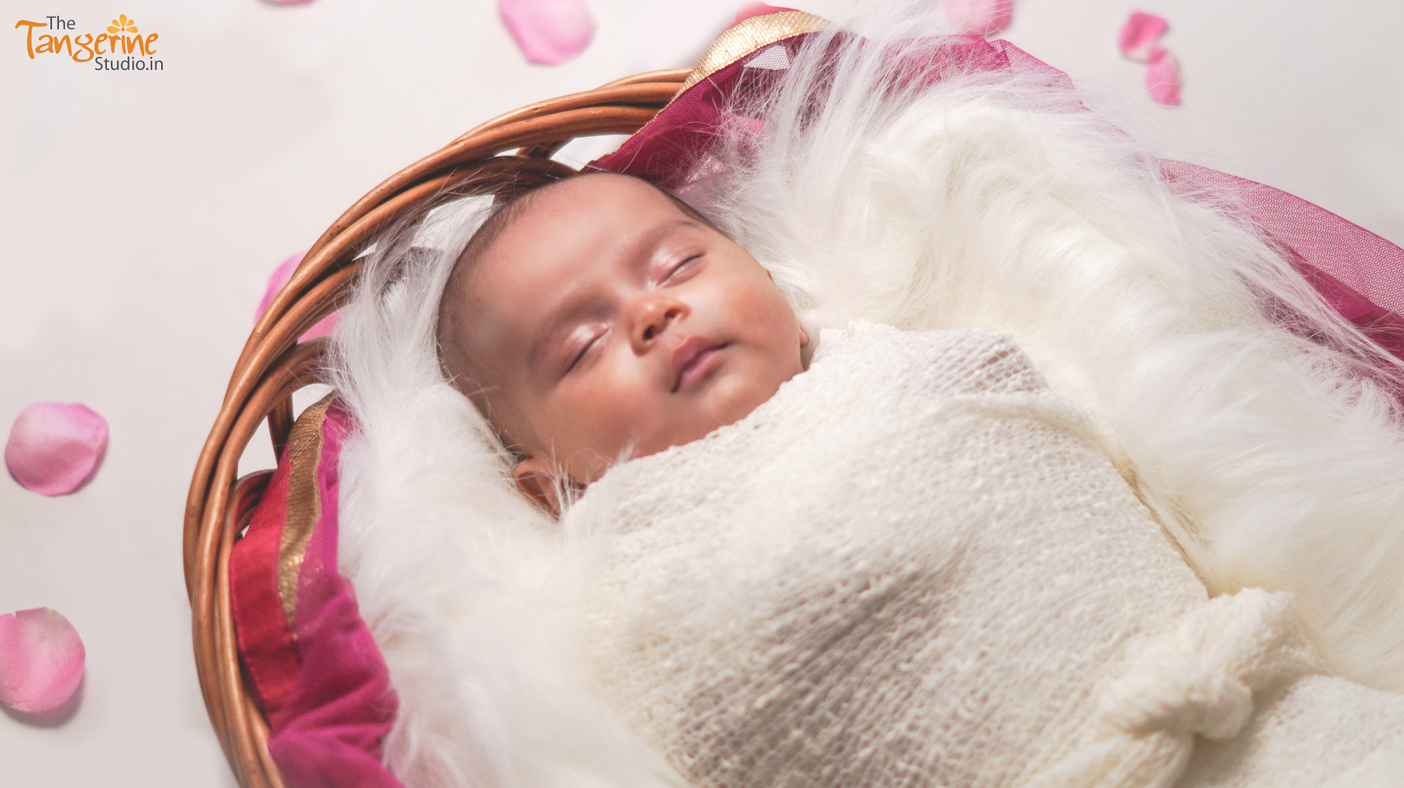 Sony SLT-A58 + Sony DT 50mm F1.8 SAM sample photo. Sleeping beauty photography