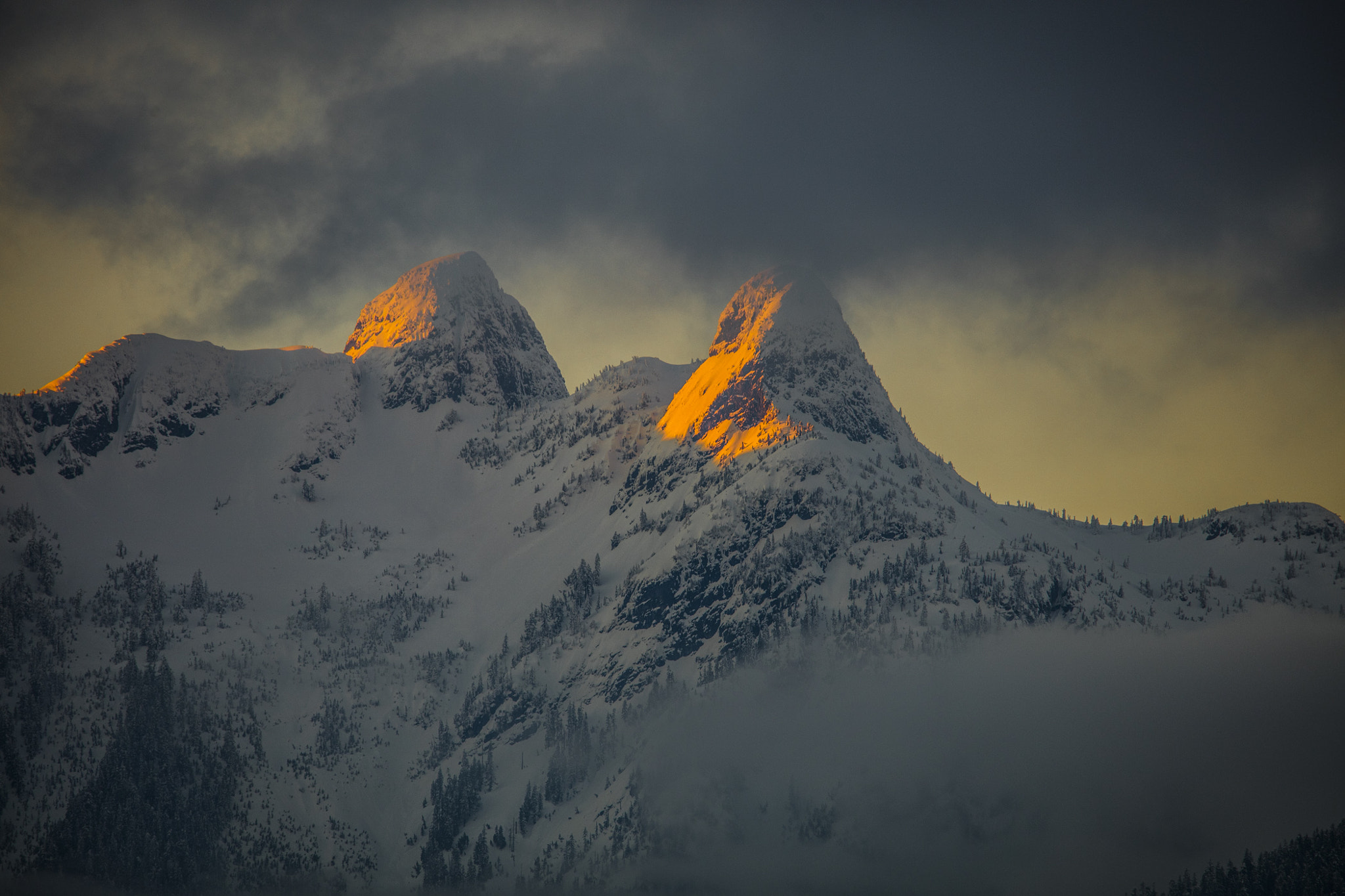 Sigma 150-500mm F5-6.3 DG OS HSM sample photo. The lions close up at sunset photography