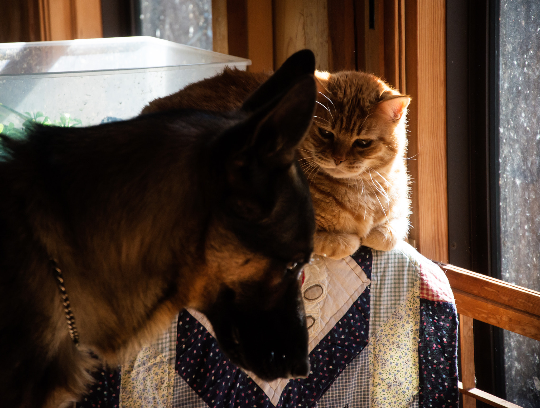 Nikon D600 sample photo. Life lessons photography
