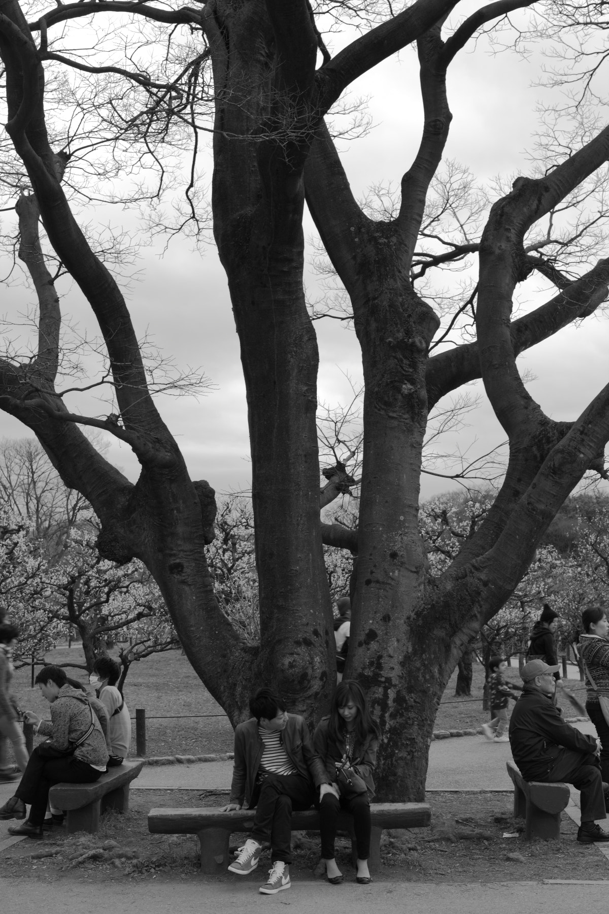 Canon EOS-1Ds Mark III sample photo. Qj photography