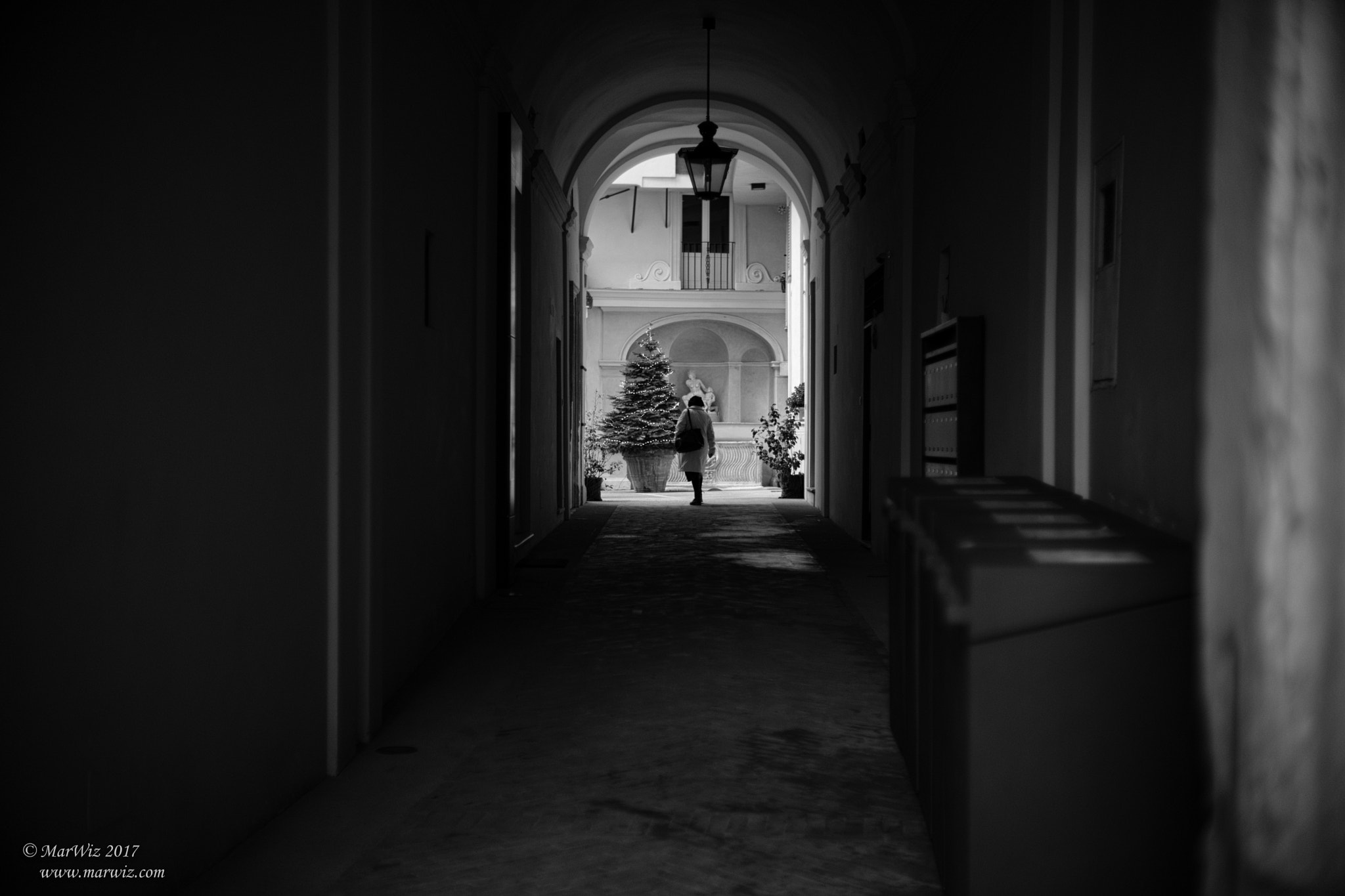 Noctilux-M 1:1/50 sample photo. Lonely photography