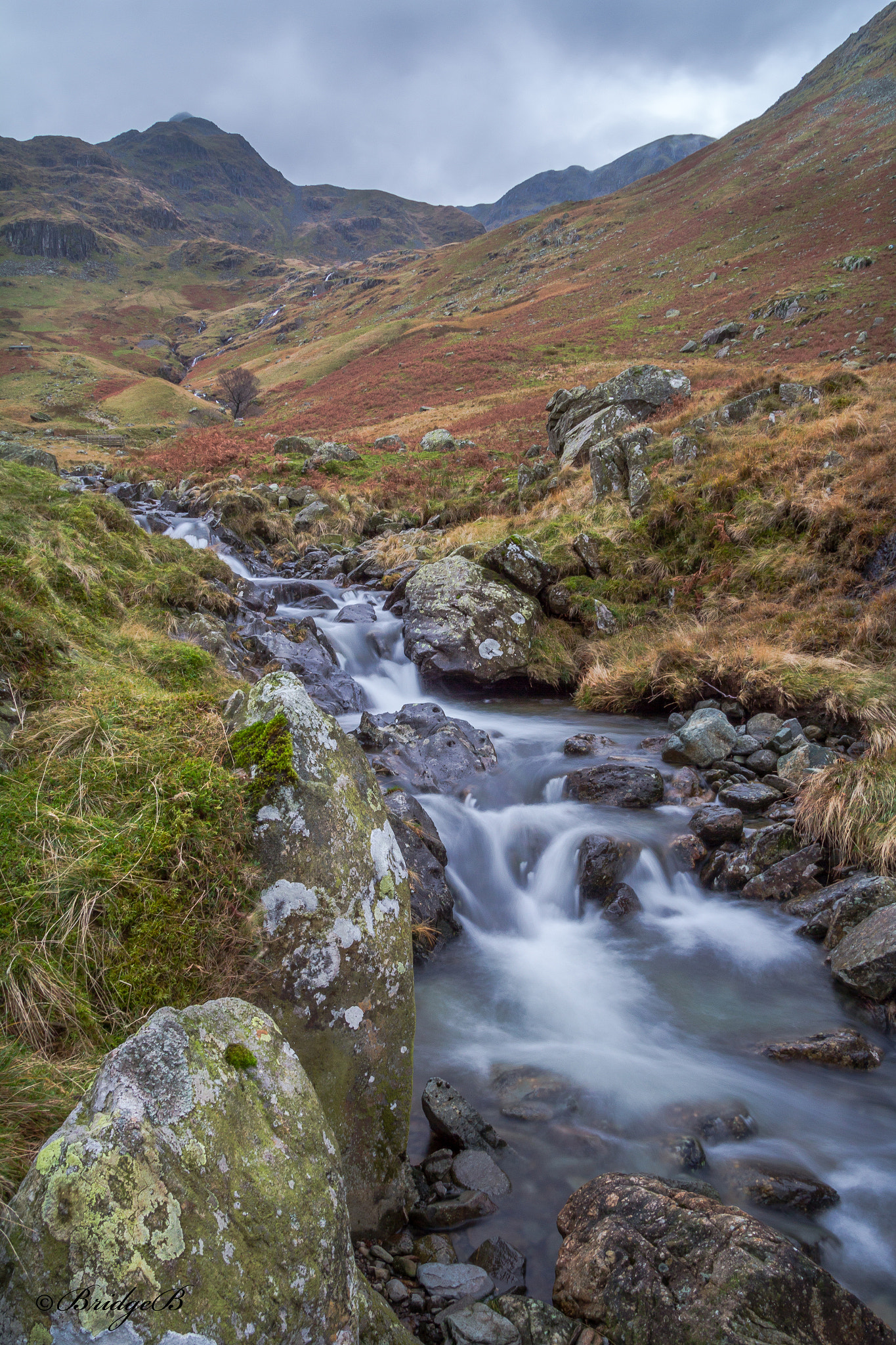 Canon EOS 60D + Sigma 18-50mm f/2.8 Macro sample photo. Griesdale beck photography