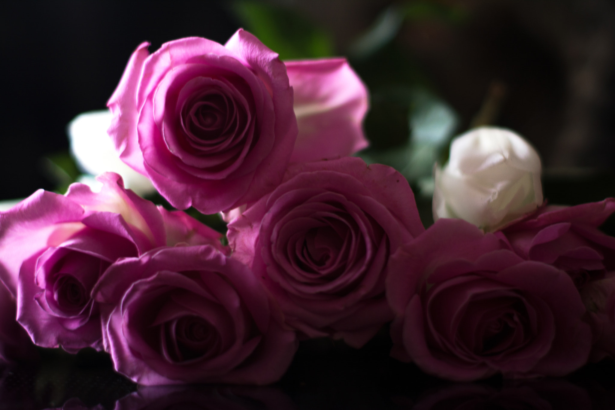 Nikon D5200 + Nikon AF-S Nikkor 50mm F1.4G sample photo. Roses in pink photography