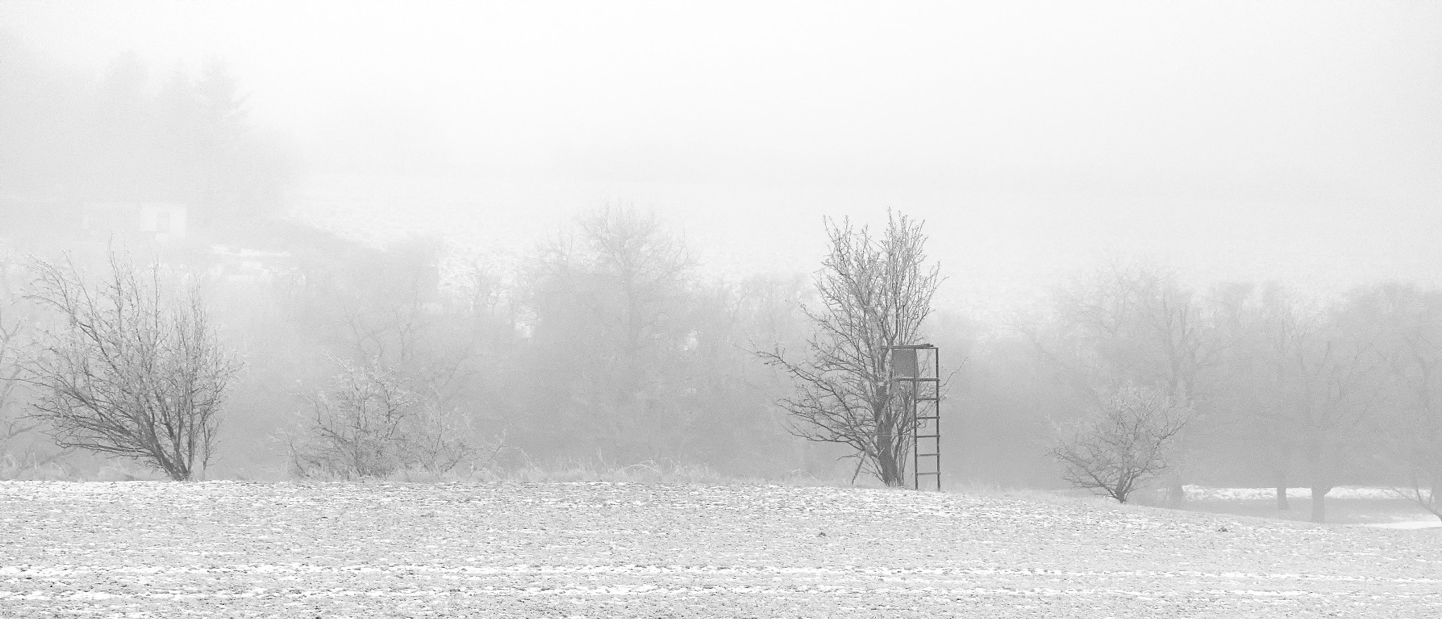 Fujifilm X-T1 + ZEISS Touit 50mm F2.8 sample photo. Silence and coldness photography