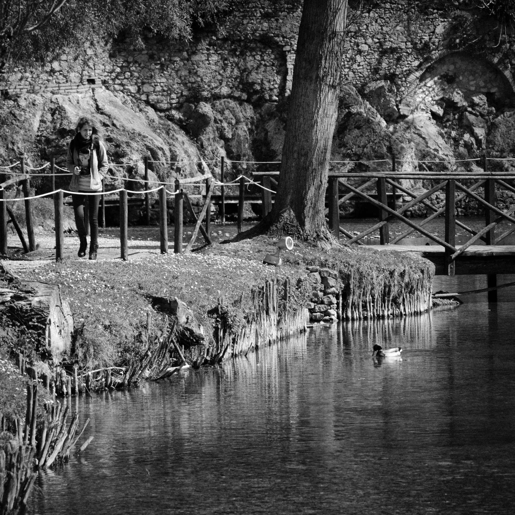 Nikon AF-S Nikkor 24-120mm F4G ED VR sample photo. One girl, her camera...and a duck photography
