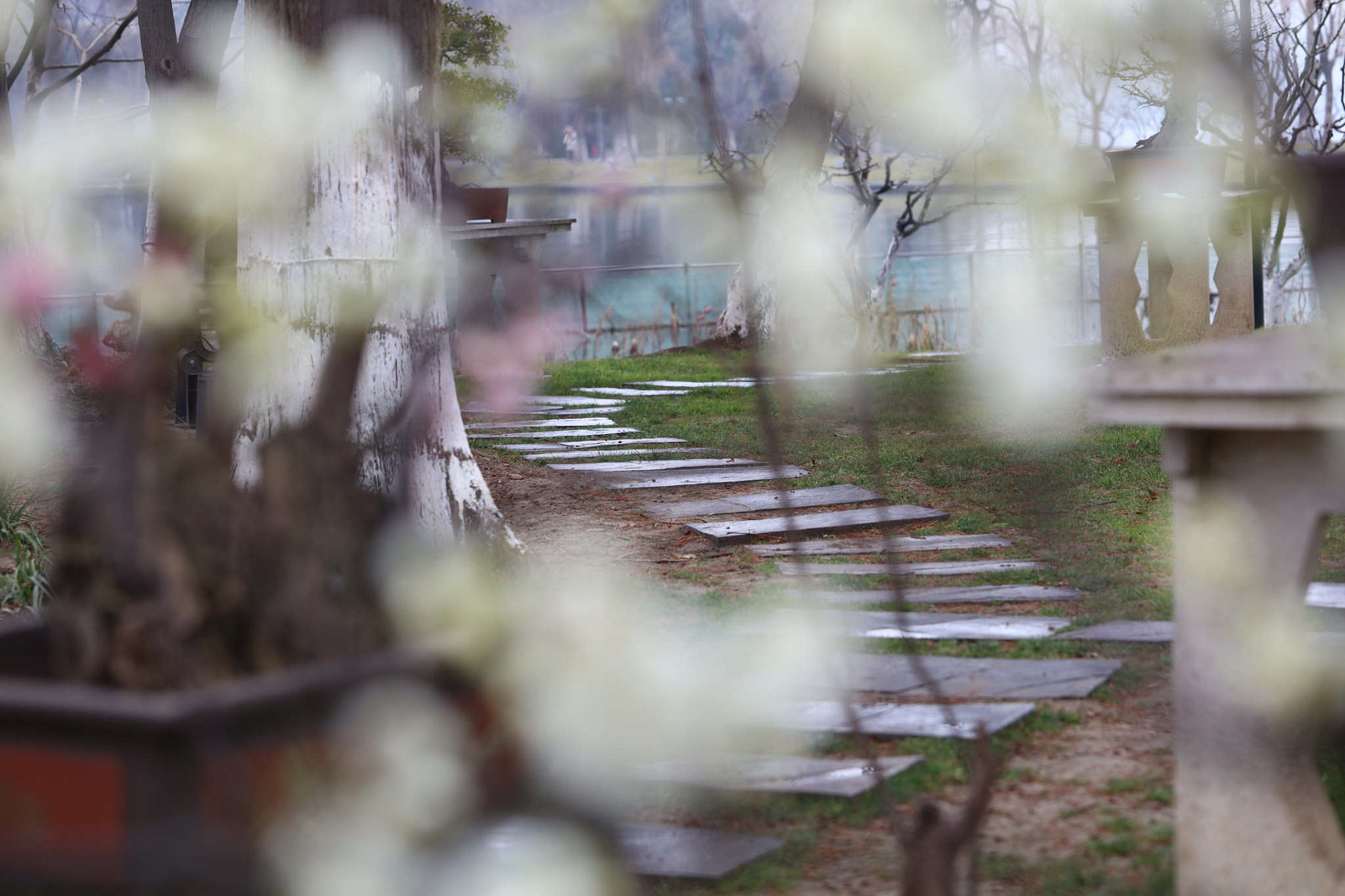 Canon EOS 5DS sample photo. Flagstone walk photography