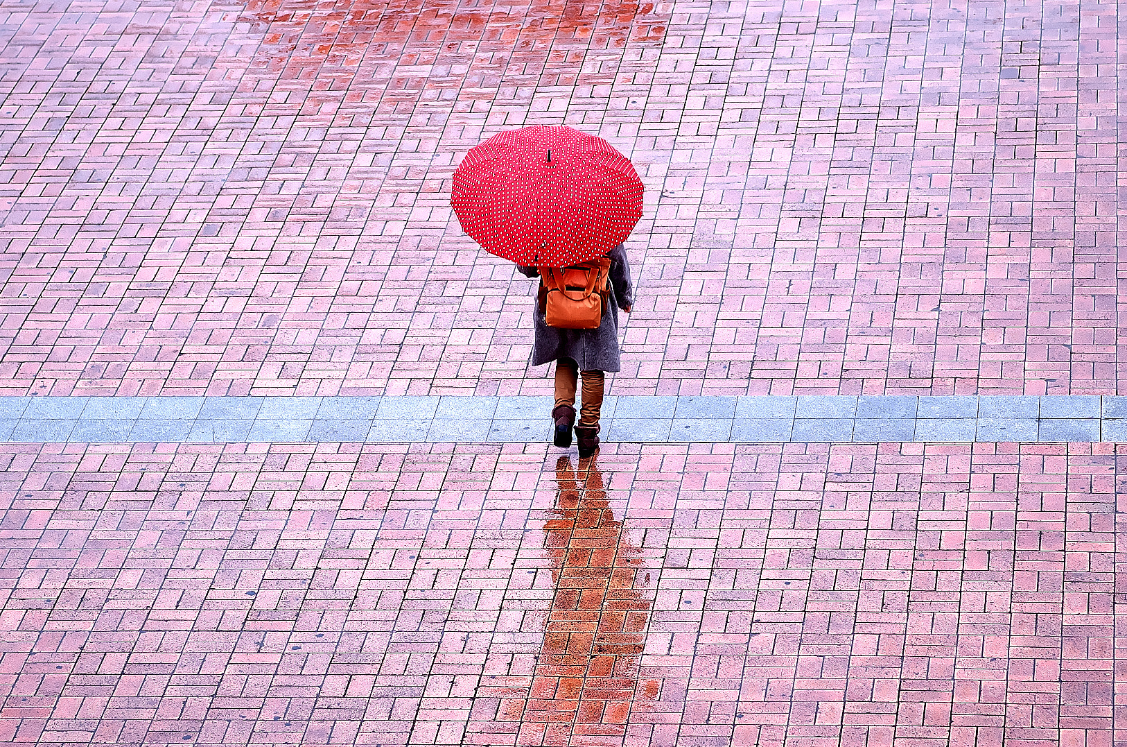 Pentax K-50 sample photo. Rain photography