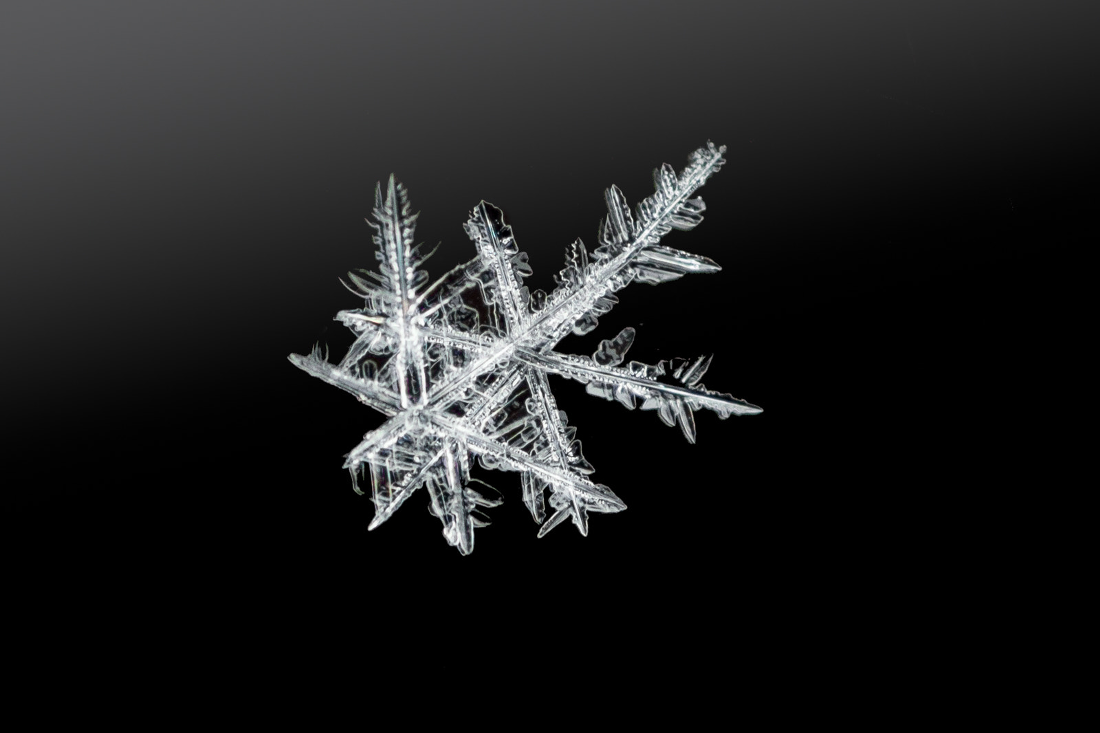 Nikon D7200 + Tokina AT-X Pro 100mm F2.8 Macro sample photo. Snowflake on black glass photography