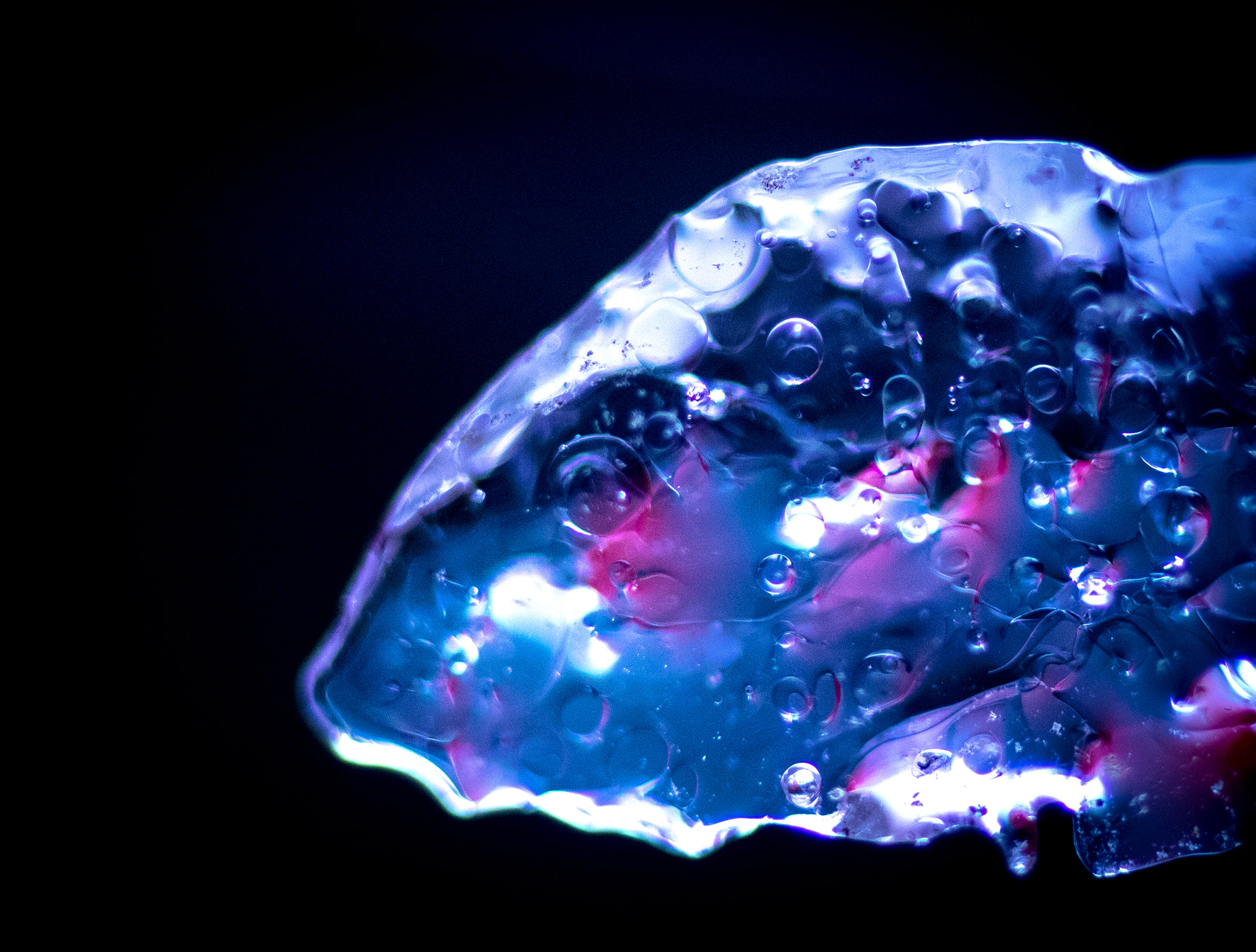 Tamron SP AF 90mm F2.8 Di Macro sample photo. Ice fish photography