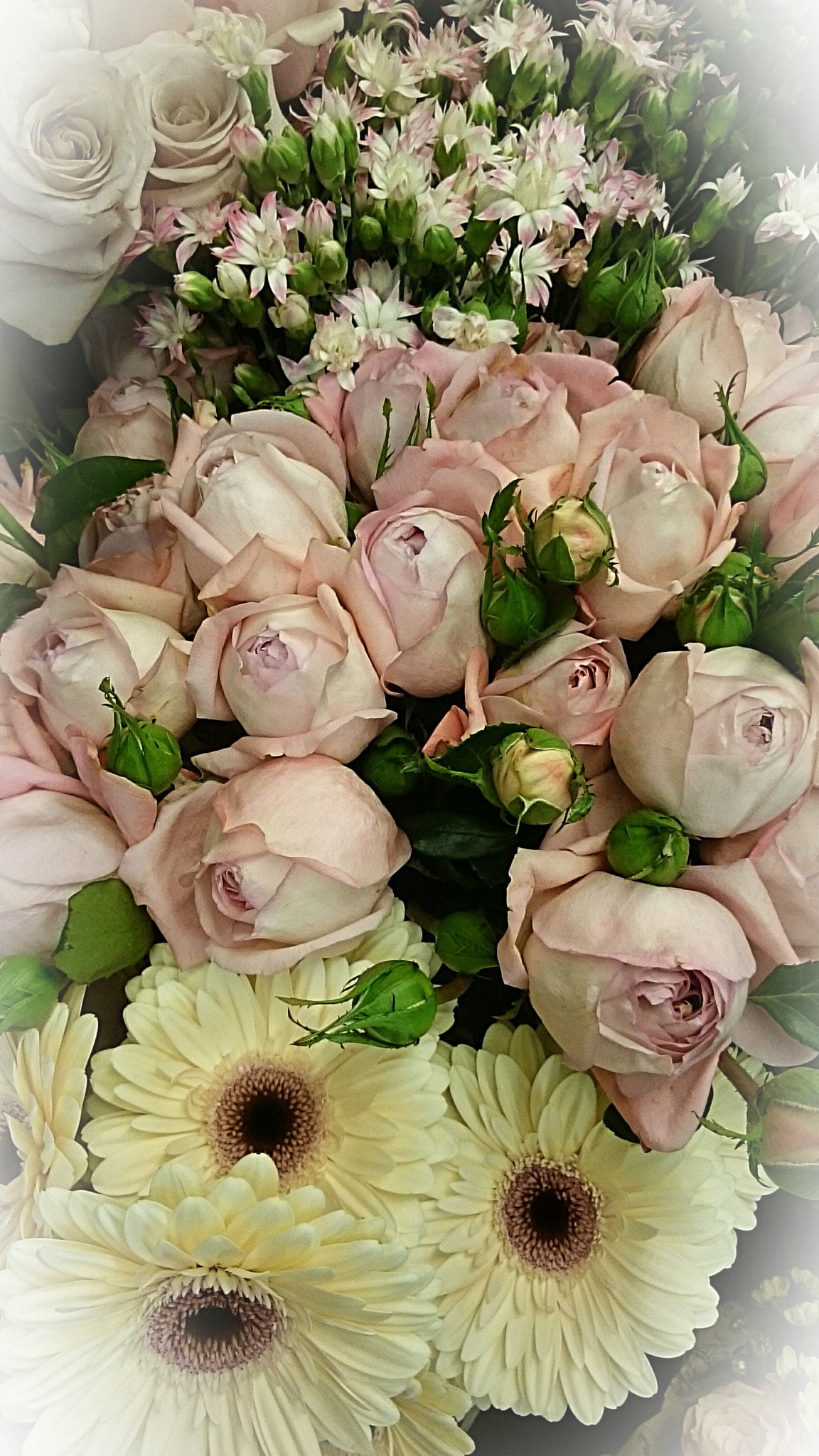 Sony Xperia Z Ultra sample photo