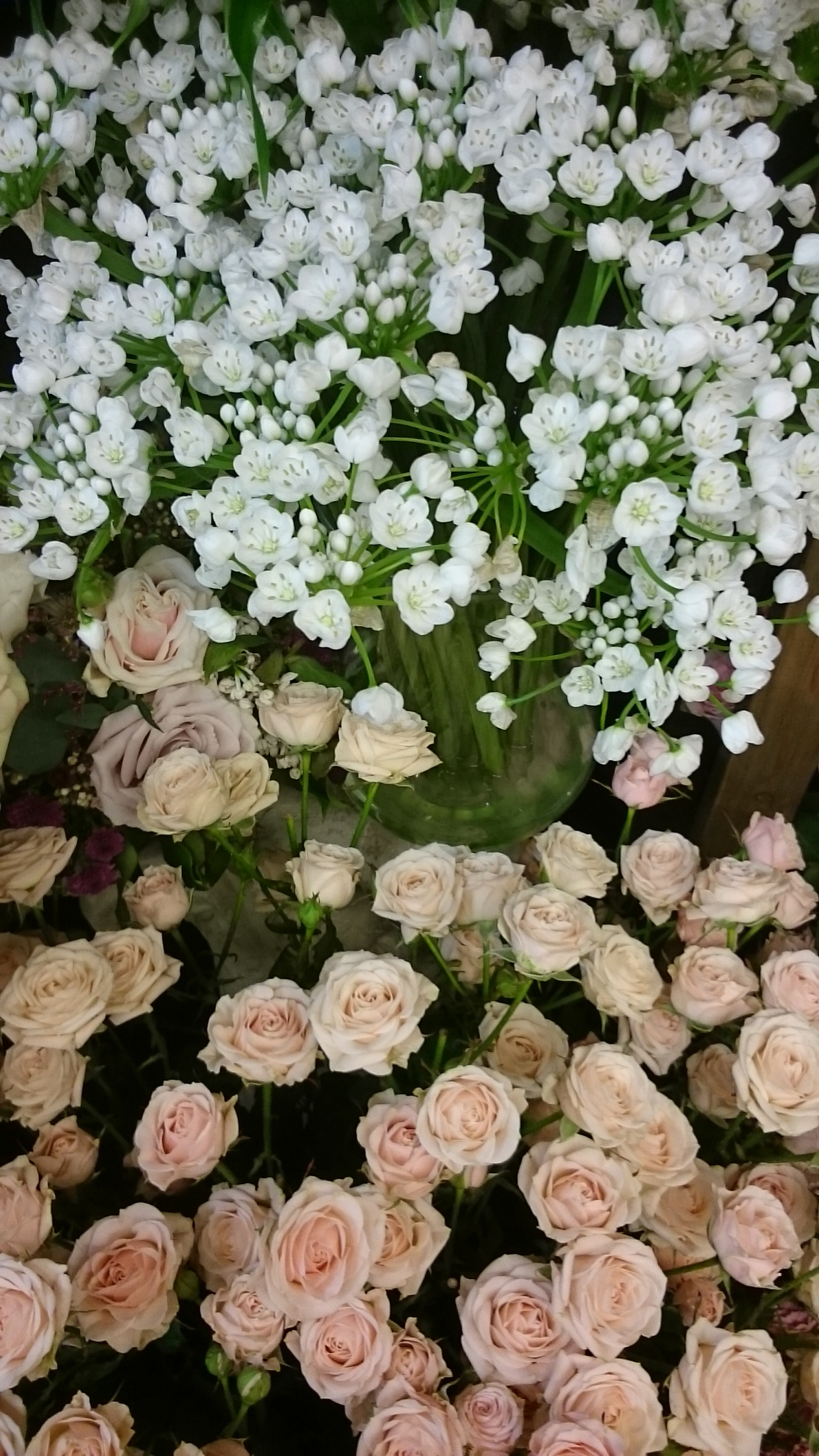 Sony Xperia Z Ultra sample photo