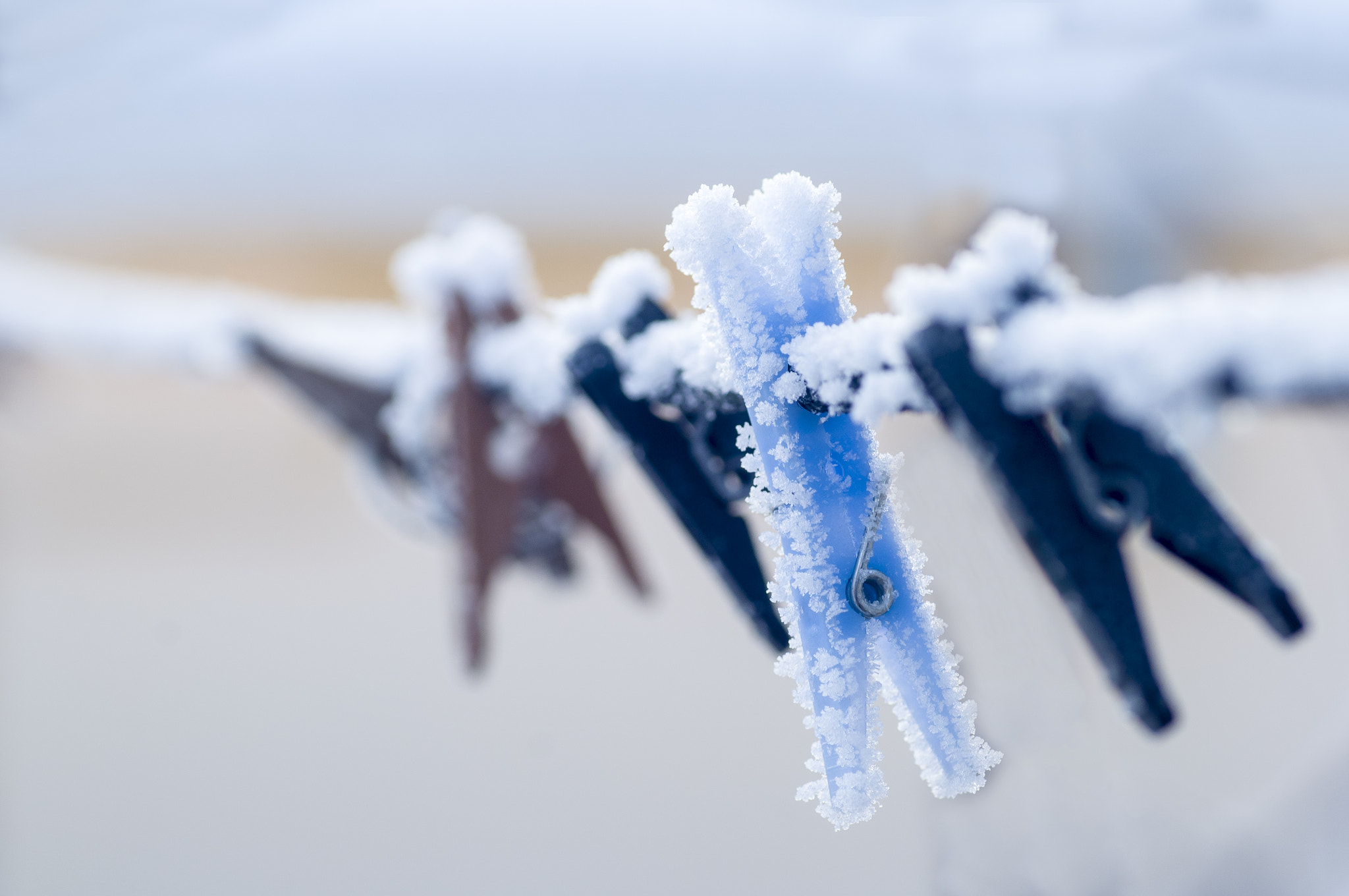 Tamron SP AF 90mm F2.8 Di Macro sample photo. Frozen photography