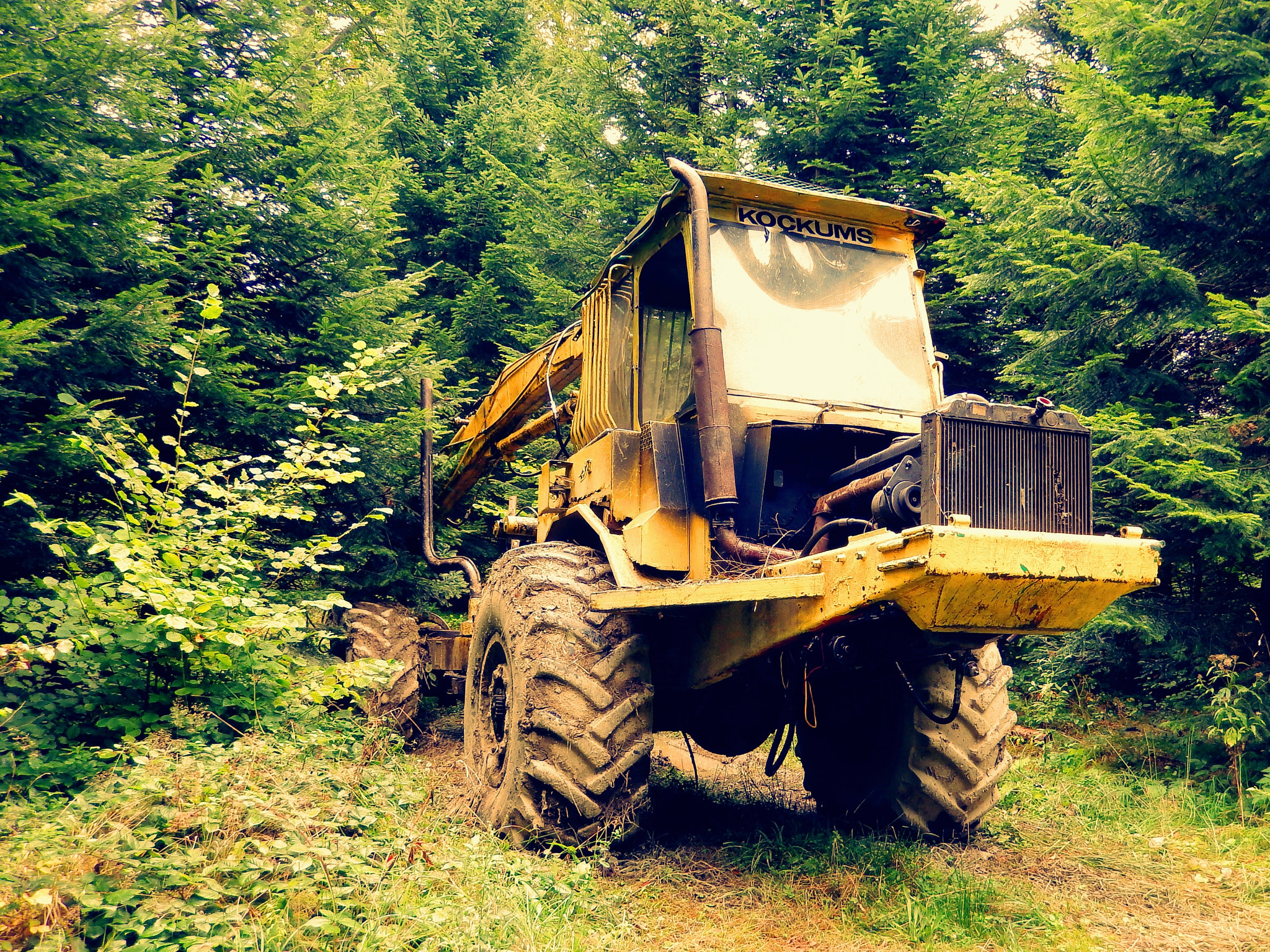 Nikon Coolpix S9500 sample photo. Steel beast in the forest - bieszczady, poland photography