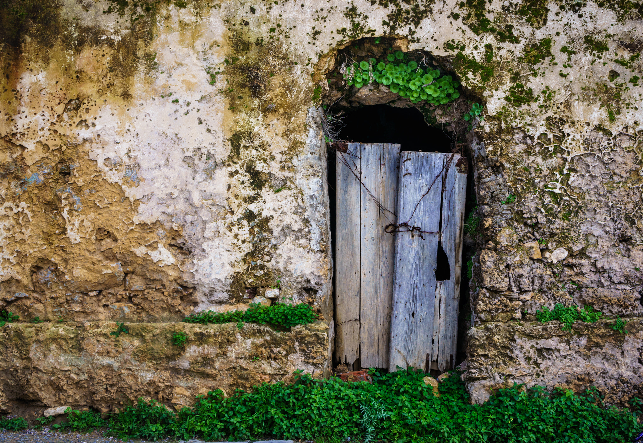 Sony Alpha NEX-5R + Sony E 18-55mm F3.5-5.6 OSS sample photo. Old door of an old house photography