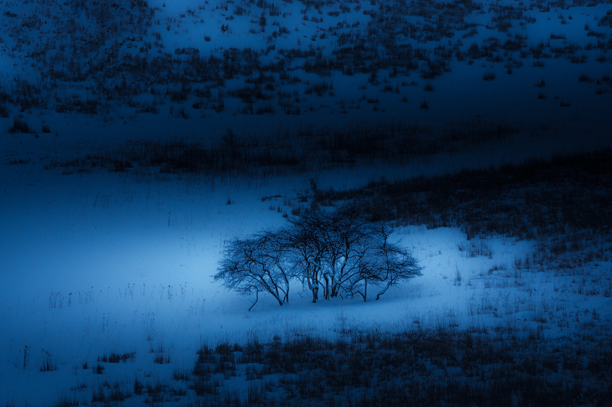 Sony DT 55-200mm F4-5.6 SAM sample photo. Spotlight photography