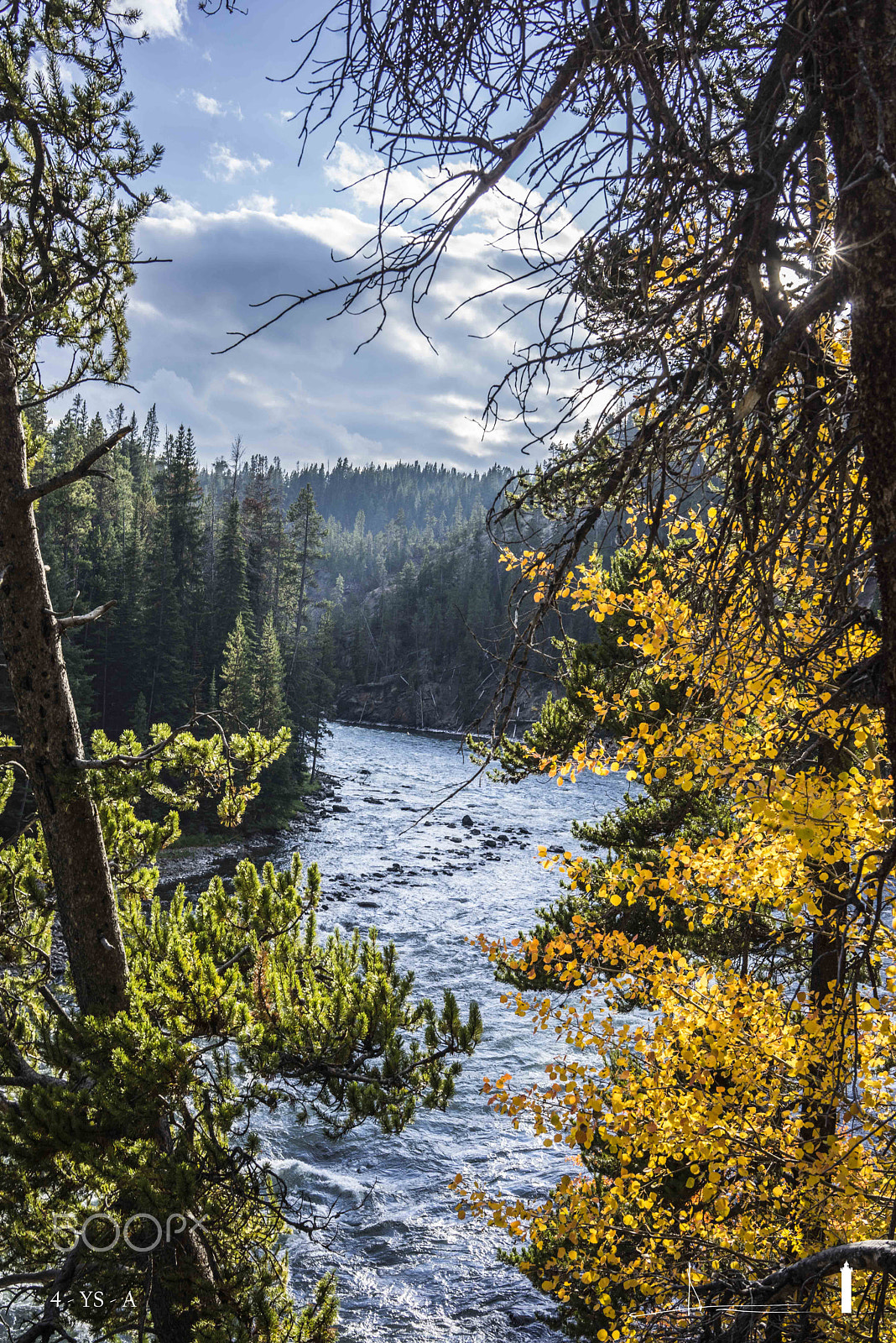 Sony a7R + Sony Sonnar T* FE 35mm F2.8 ZA sample photo. Yellowstone national park wyoming - ref:4-ys-a photography