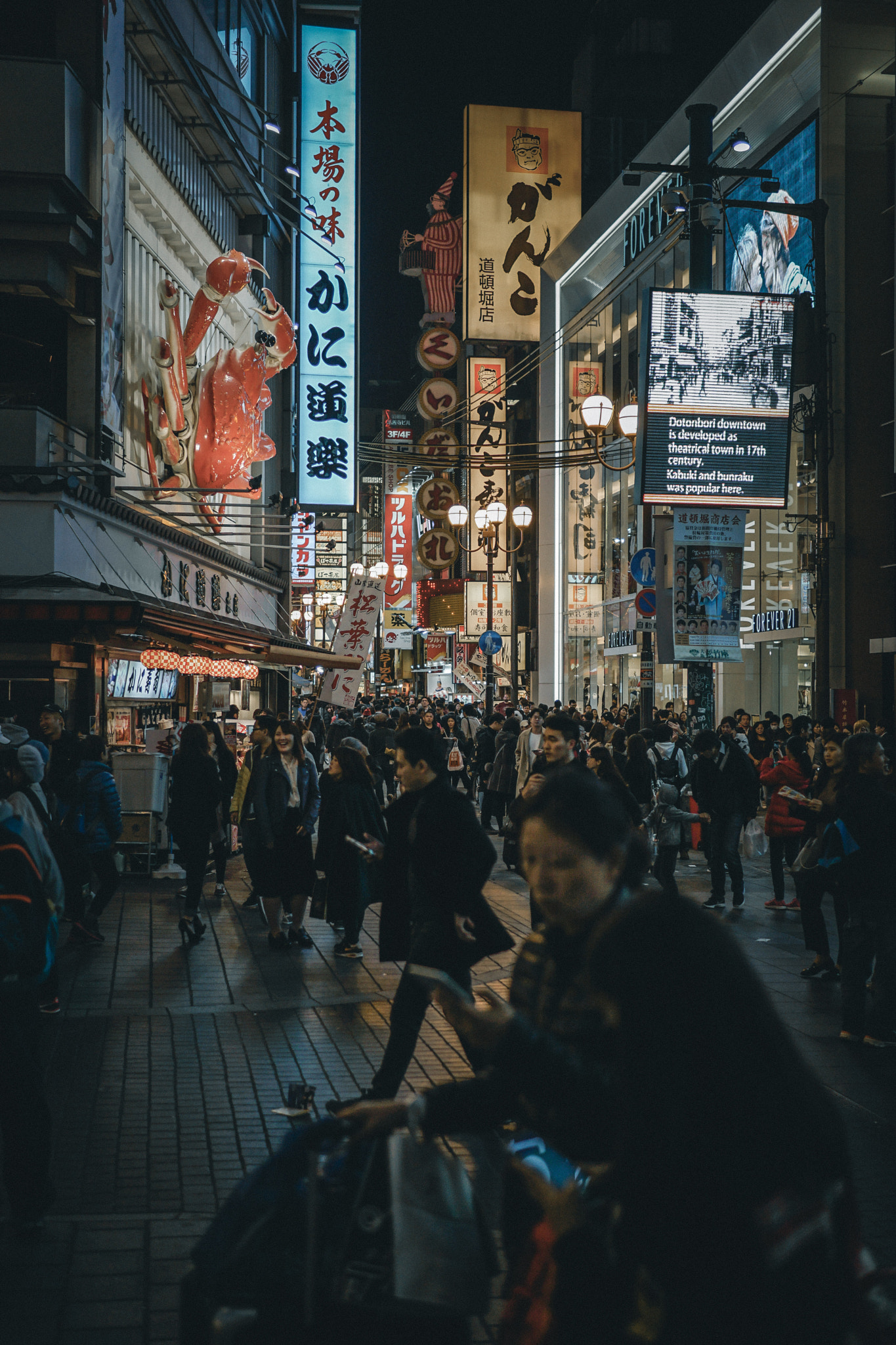 Sony a6000 + Sigma 30mm F1.4 DC DN | C sample photo. Dotonbori photography