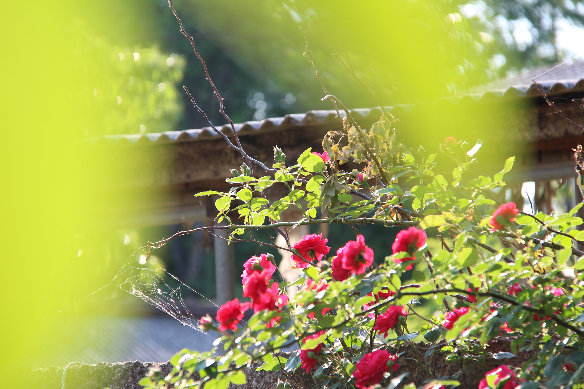 Canon EF-S 18-200mm F3.5-5.6 IS sample photo. 아름다운 고향집````` photography