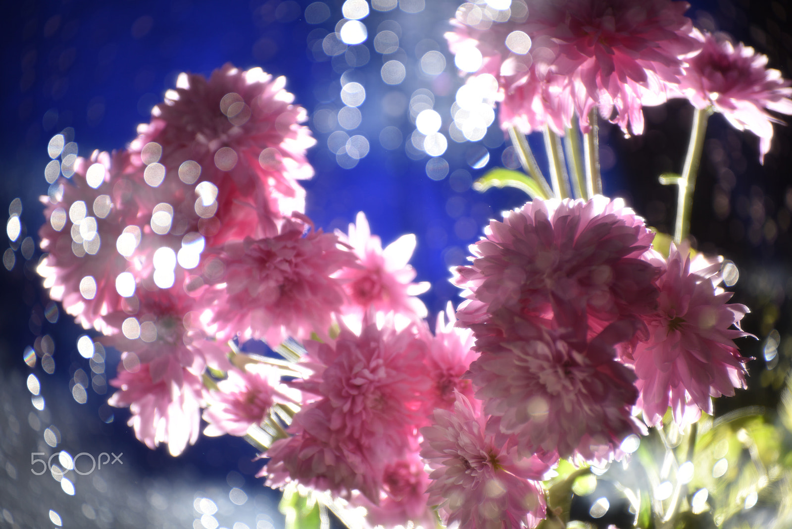 Nikon D810 sample photo. Calm photography