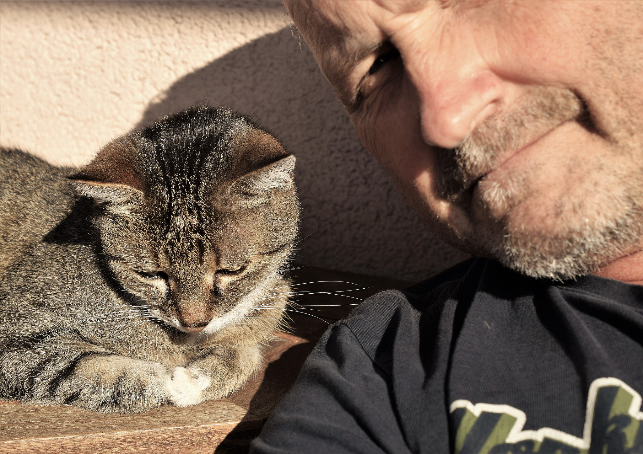 Nikon AF-S DX Micro Nikkor 40mm F2.8 sample photo. My cat & me photography