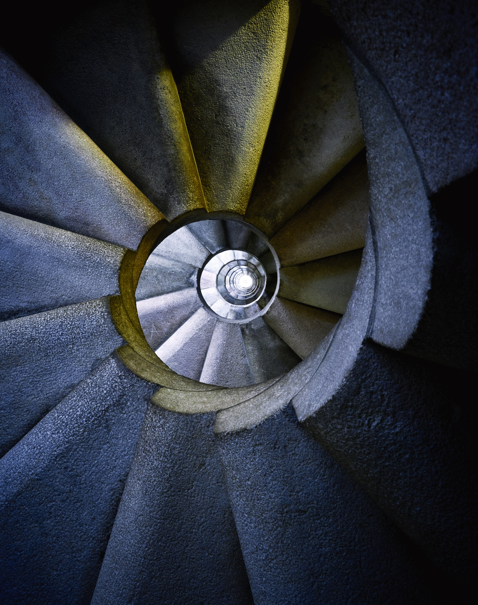 Nikon D810 sample photo. Thru the wormhole photography