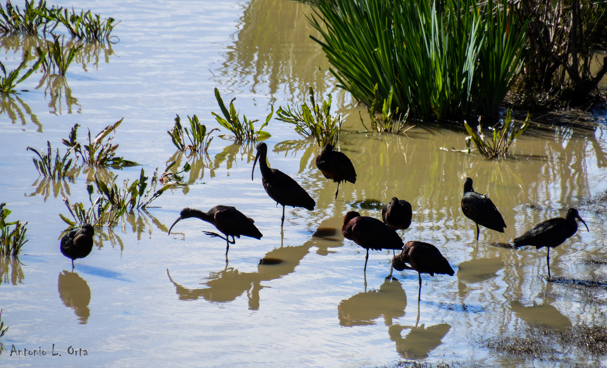 Nikon D3200 sample photo. Moritada photography