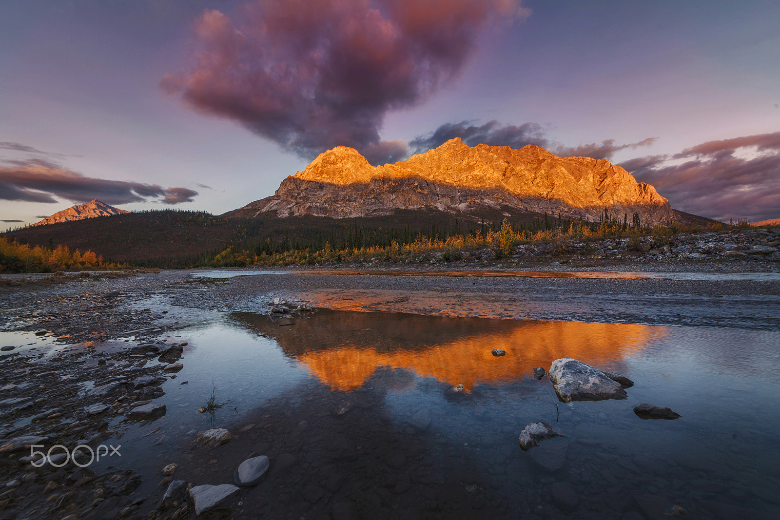 Sigma 12-24mm F4.5-5.6 II DG HSM sample photo. Golden peak photography