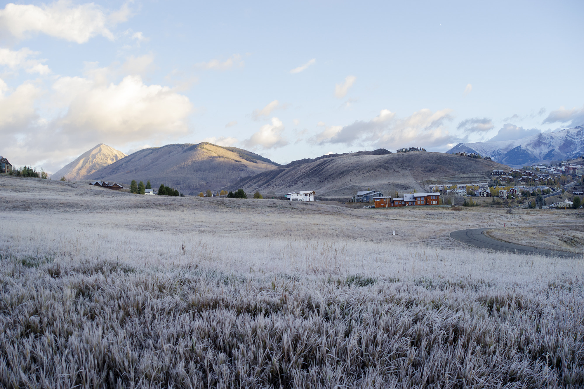 Sony a7 + 35-70mm F4 sample photo. Cold morning photography