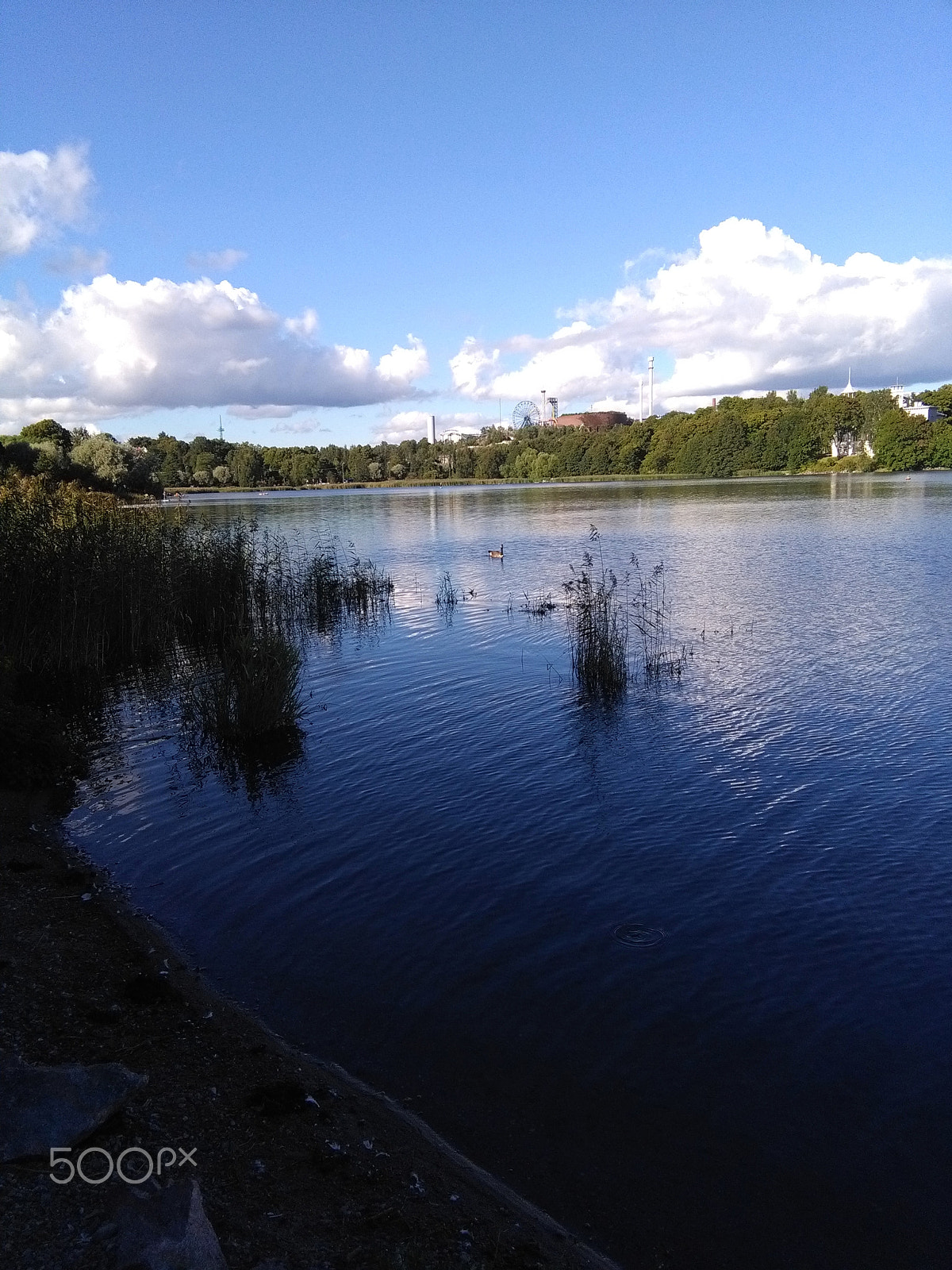 HUAWEI Y6 sample photo. Img_20160815_173642.jpg photography