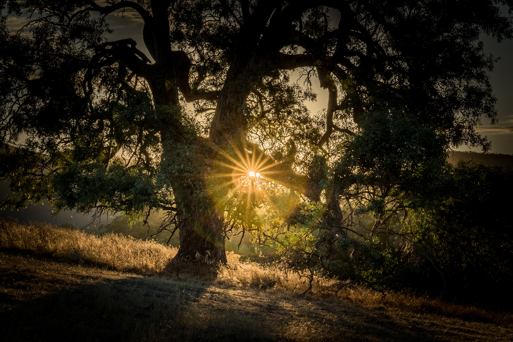 Sony a7S sample photo. The shining moment photography
