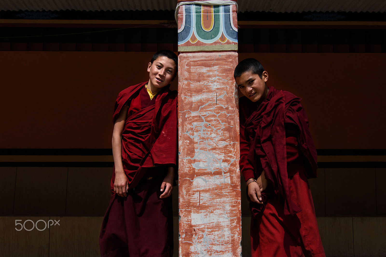Nikon AF-S Nikkor 24-120mm F4G ED VR sample photo. Friendship is stronger than blood photography