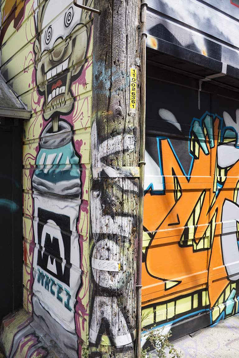 Sony a6000 + Sony E 18-55mm F3.5-5.6 OSS sample photo. Dsc1361a6000  san francisco  ©2017 paul light photography