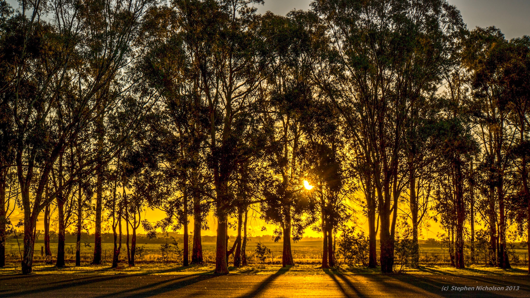 Sony Alpha NEX-7 sample photo. Sunset from the dish at parkes photography