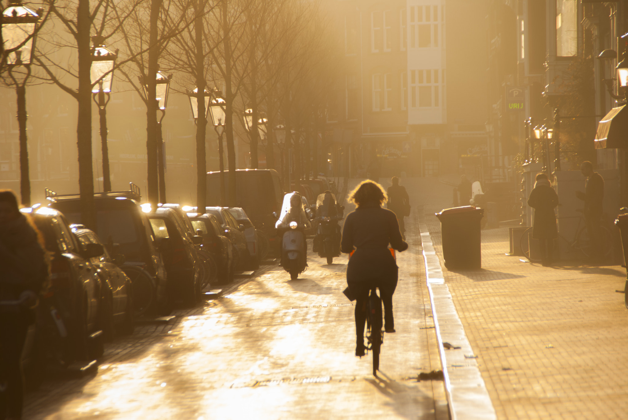Nikon D80 sample photo. Morning ride photography