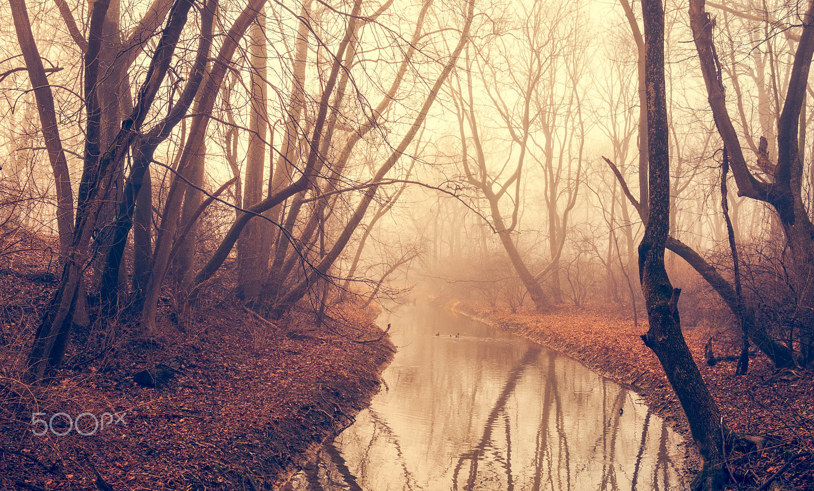 Nikon D610 + AF Zoom-Nikkor 28-80mm f/3.5-5.6D sample photo. Misty creek photography